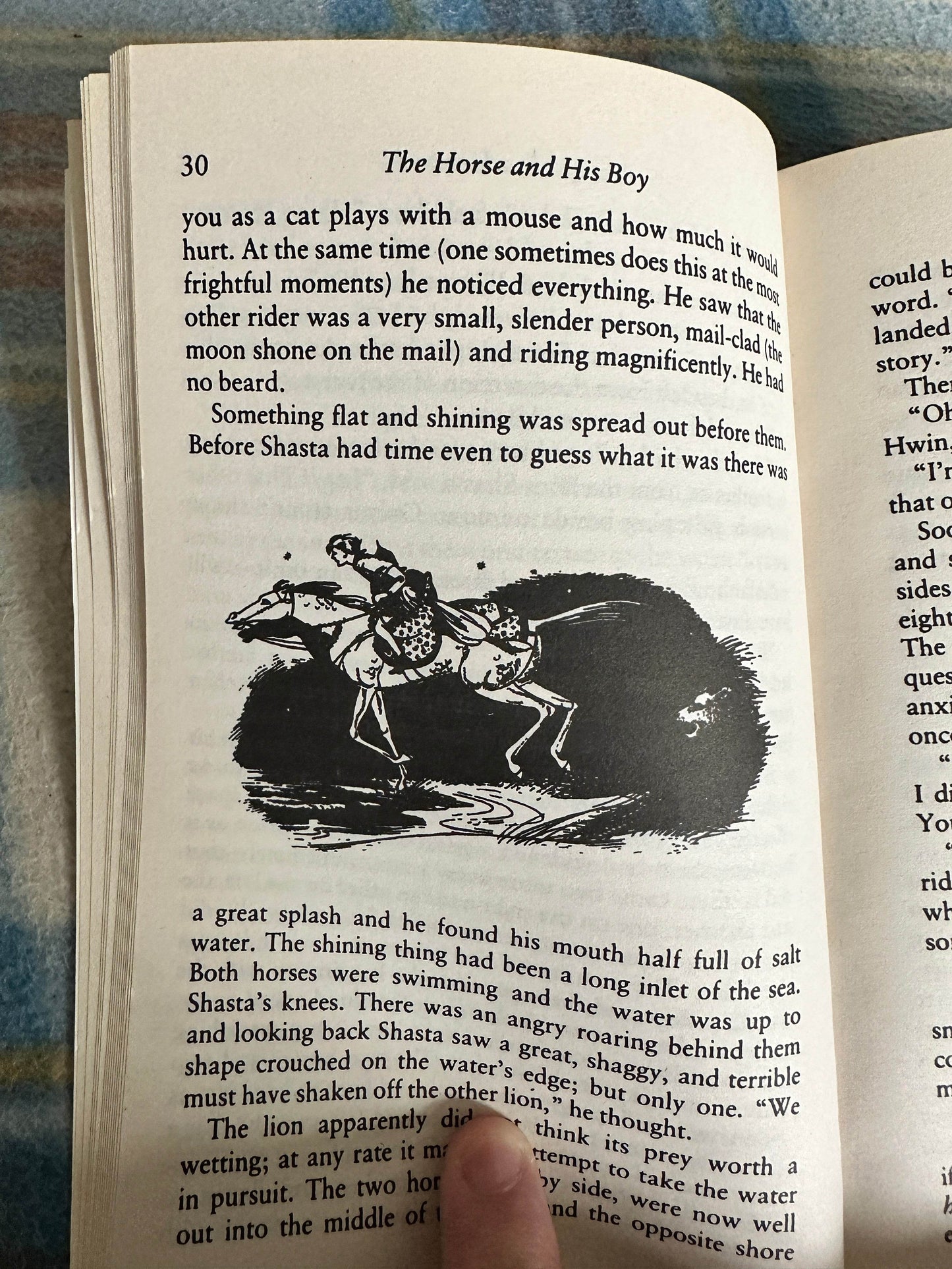2010 The Horse & His Boy(Narnia) - C. S. Lewis(HarperCollins) - Honeyburn Books (UK)
