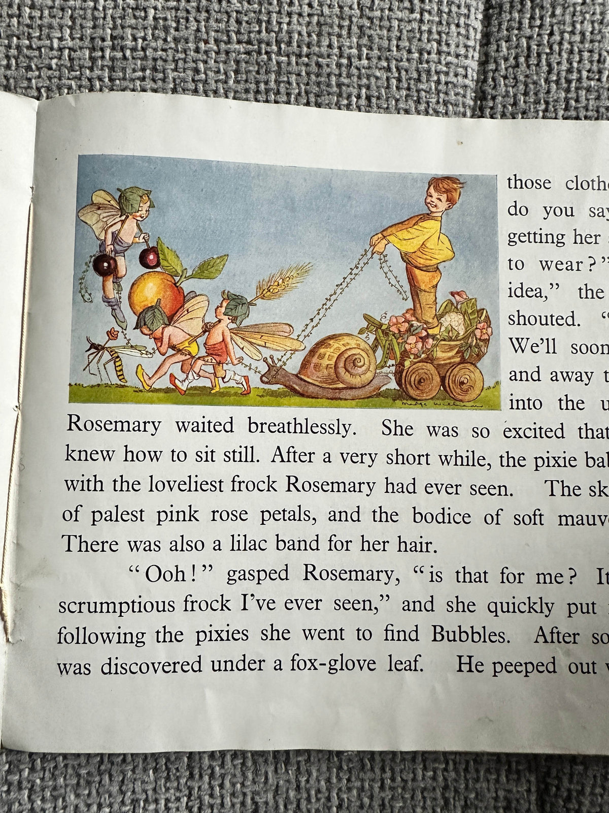1940’s The Pixies Of Willow Wood(& How The Children Really Met Them) Anne Hope(J. Salmon Ltd Publisher) - Honeyburn Books (UK)