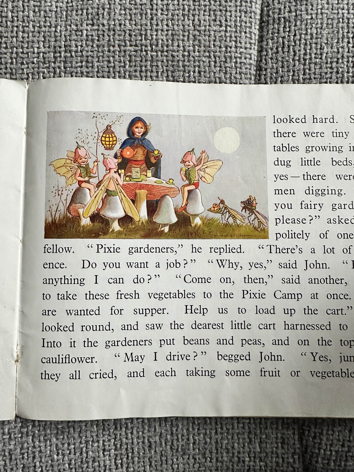 1940’s The Pixies Of Willow Wood(& How The Children Really Met Them) Anne Hope(J. Salmon Ltd Publisher) - Honeyburn Books (UK)
