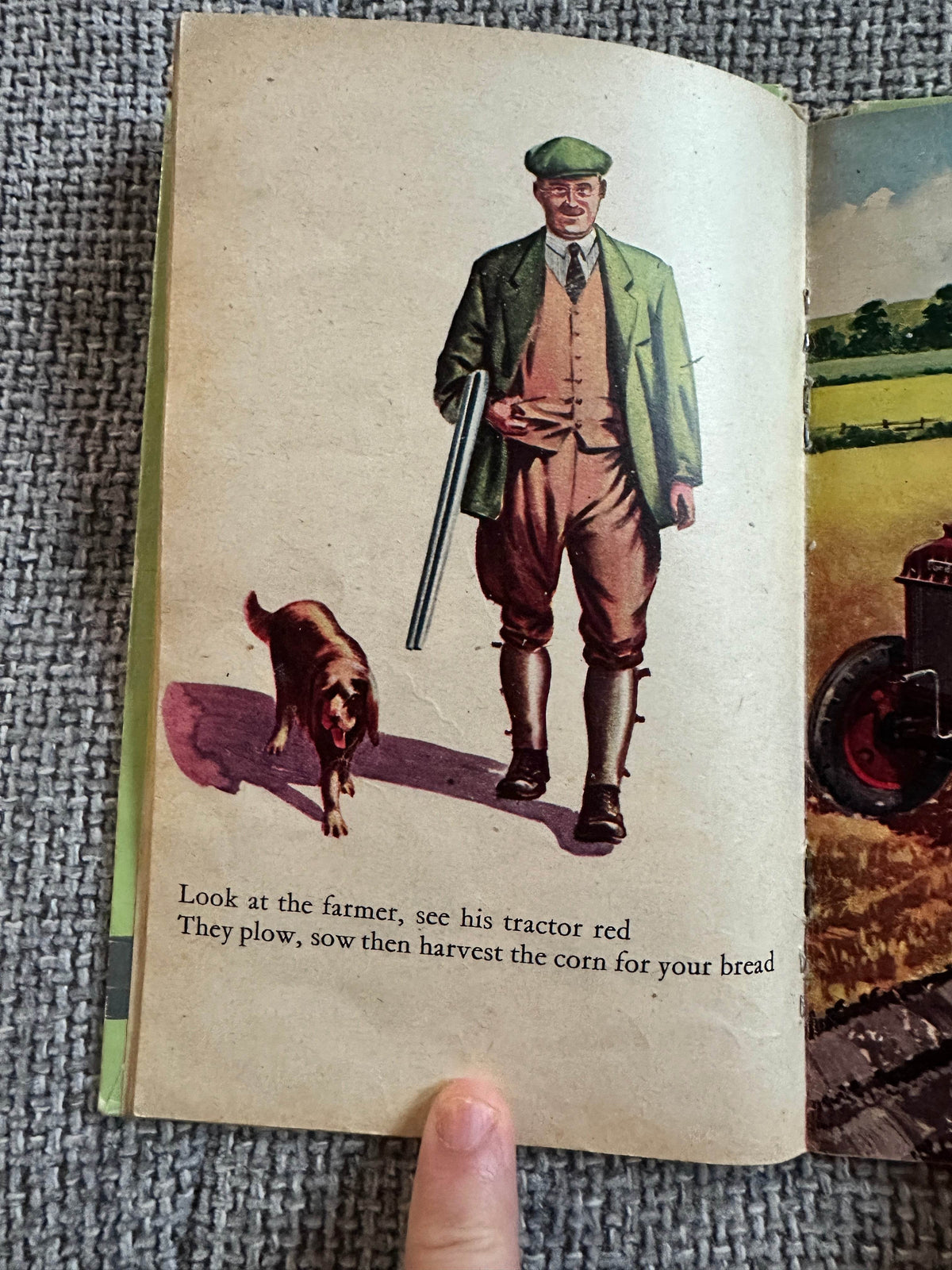 1950’s Teddy Bear’s Picture Book Of Look & See(Sampson Low Ltd) - Honeyburn Books (UK)
