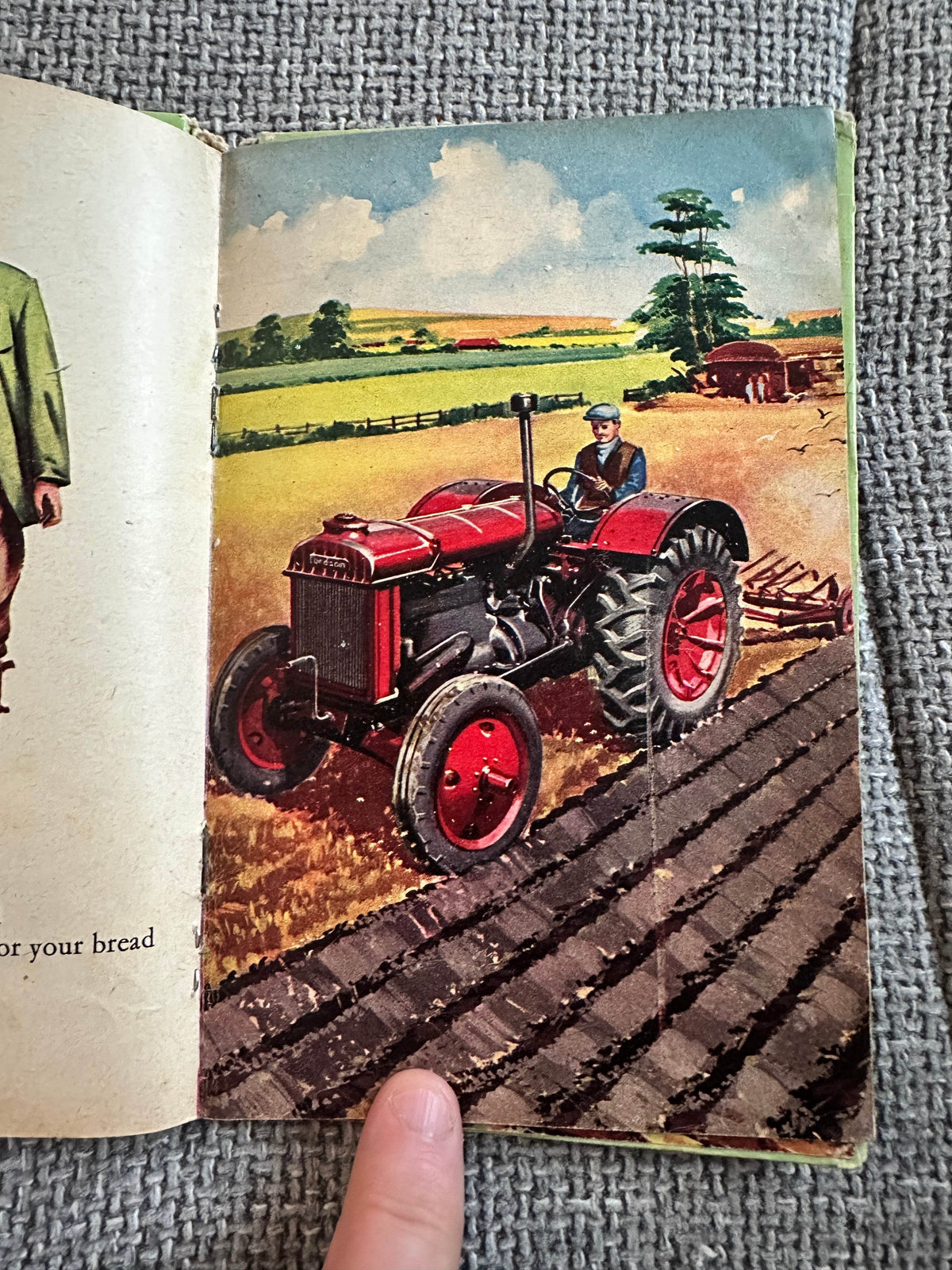1950’s Teddy Bear’s Picture Book Of Look & See(Sampson Low Ltd) - Honeyburn Books (UK)