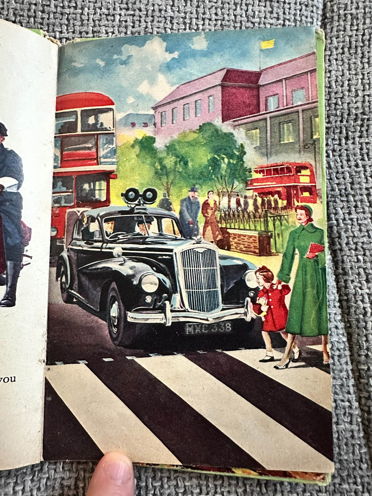 1950’s Teddy Bear’s Picture Book Of Look & See(Sampson Low Ltd) - Honeyburn Books (UK)