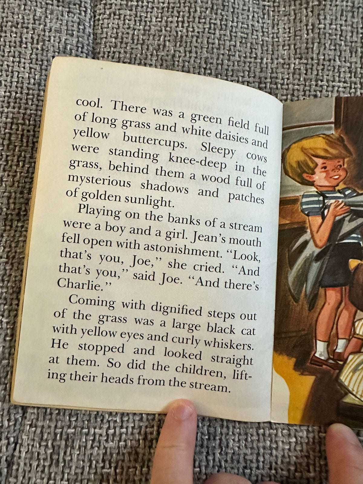 1960’s A Day In The Country(Magic TV Series) Phil Bolsover(Ray Calloway Illust) Litor Publishers - Honeyburn Books (UK)
