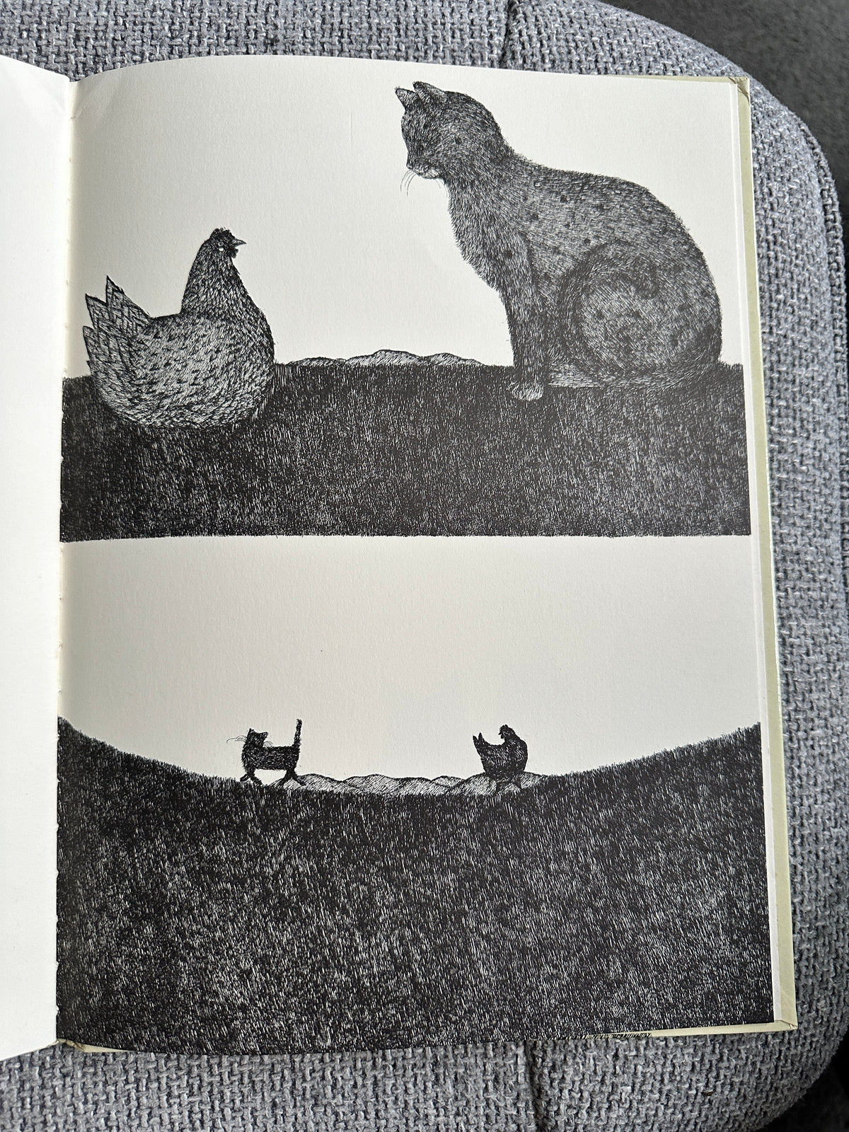 1977 Tom Cat - Written & Illustrated Susie Bohdal (Ernest Benn Ltd) - Honeyburn Books (UK)