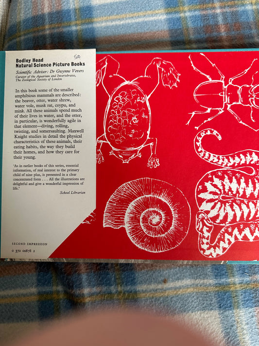 1972 The Small Water Animals - Maxwell Knight(Barry Driscoll Illust)The Bodley Head - Honeyburn Books (UK)