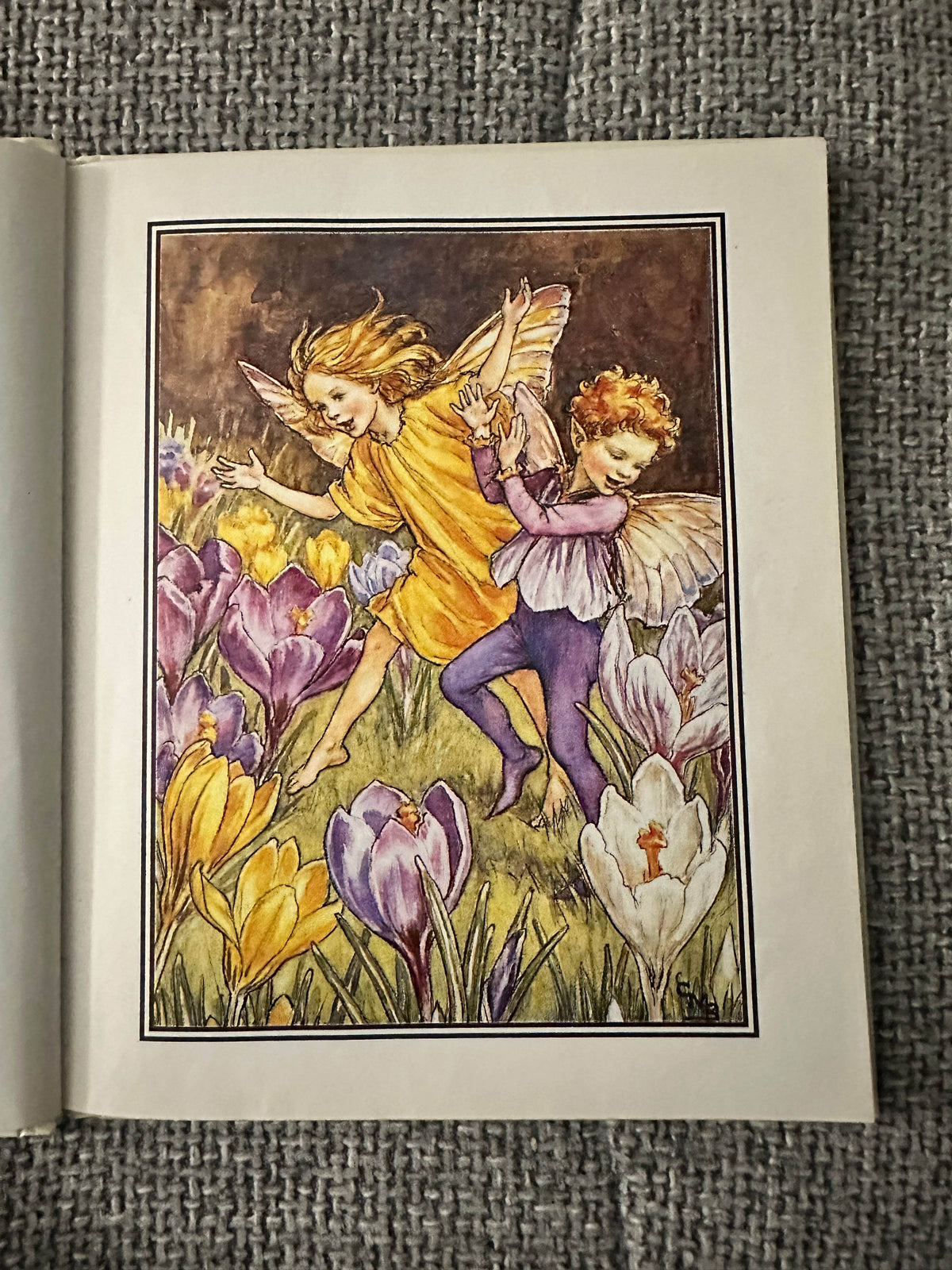 1999 Flower Fairies Of The Spring - Cicley Mary Barker(Ted Smart) - Honeyburn Books (UK)