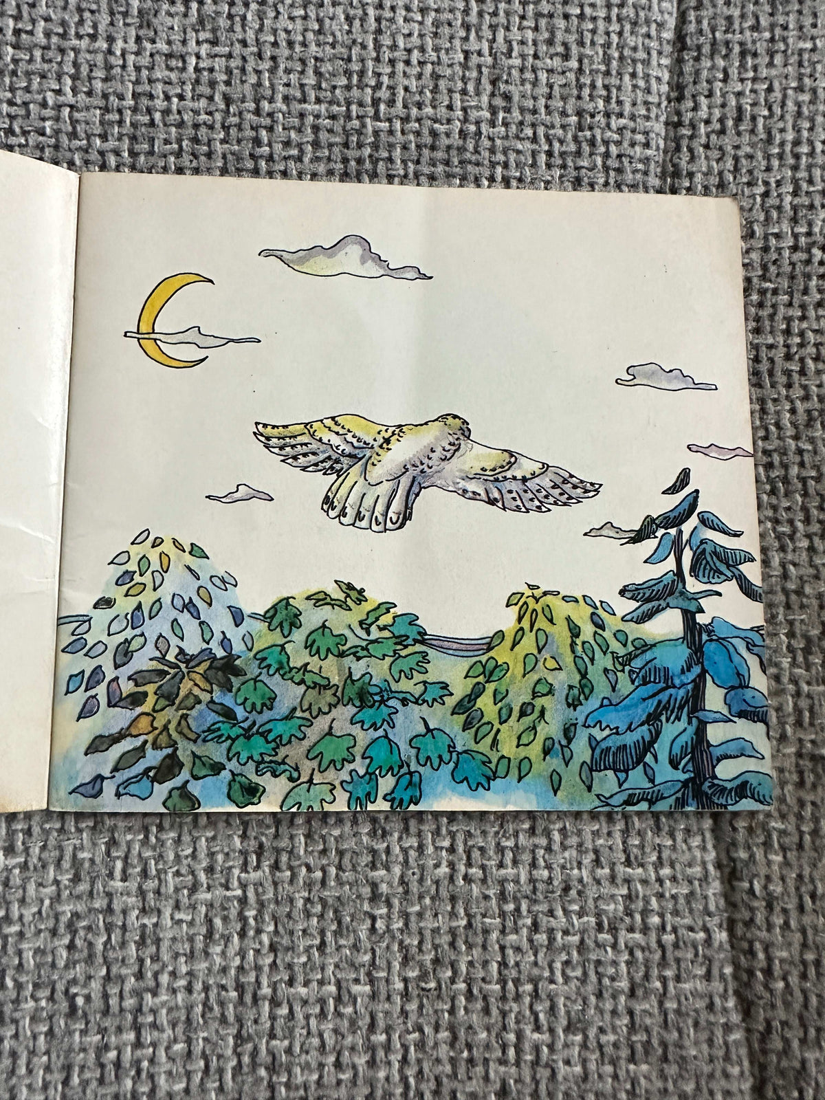 1974*1st* The Off-White Snowy Owl - Maggie Scott (Thurman Publishing)