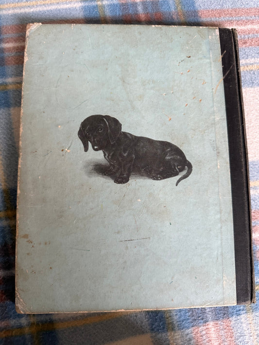 1949 Rusty The Little Red Dachshund - Dorothy L’Hommedieu(Marguerite Kirmse illustration)Robert Hale Ltd - Honeyburn Books (UK)