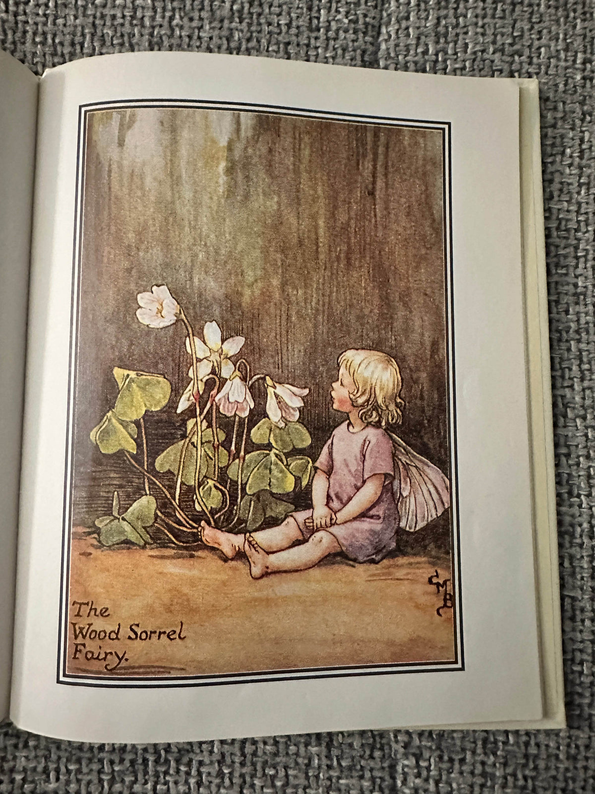 1999 Flower Fairies Of The Spring - Cicley Mary Barker(Ted Smart) - Honeyburn Books (UK)