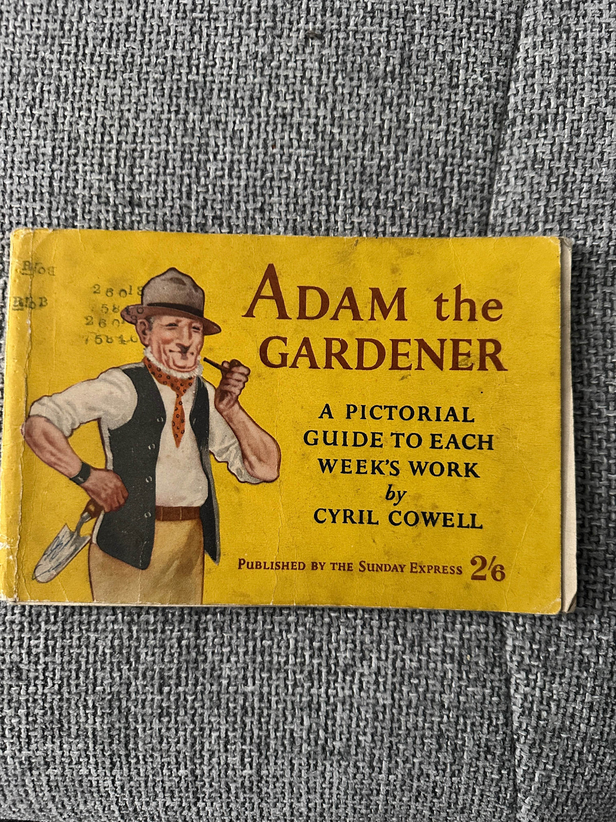 1946 Adam The Gardener - Cyril Cowell(Sunday Express) - Honeyburn Books (UK)