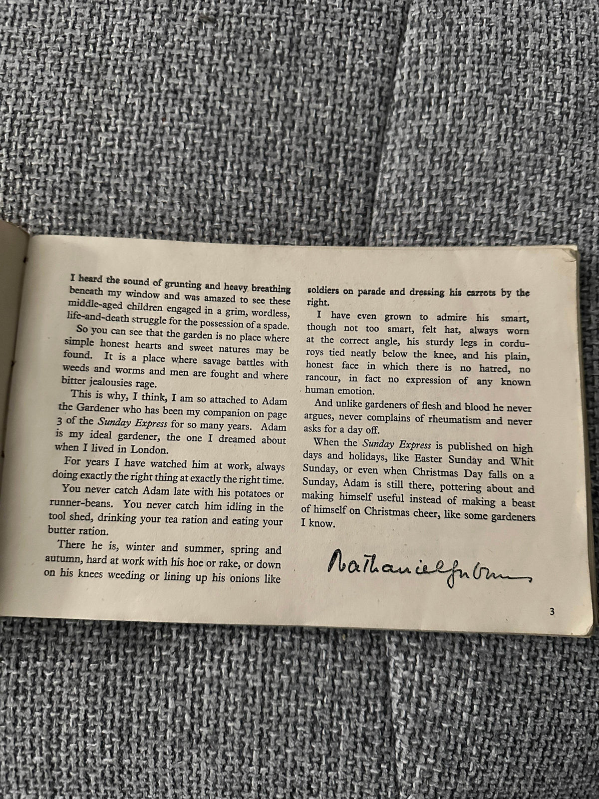 1946 Adam The Gardener - Cyril Cowell(Sunday Express) - Honeyburn Books (UK)