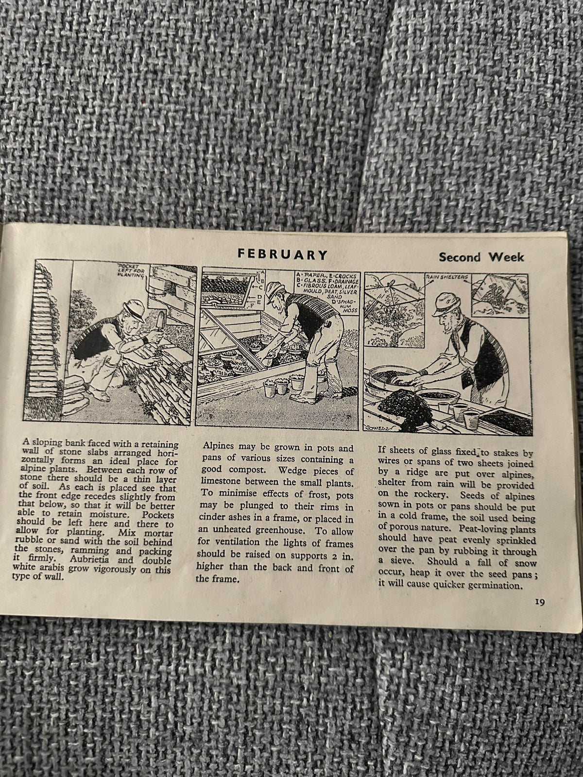 1946 Adam The Gardener - Cyril Cowell(Sunday Express) - Honeyburn Books (UK)