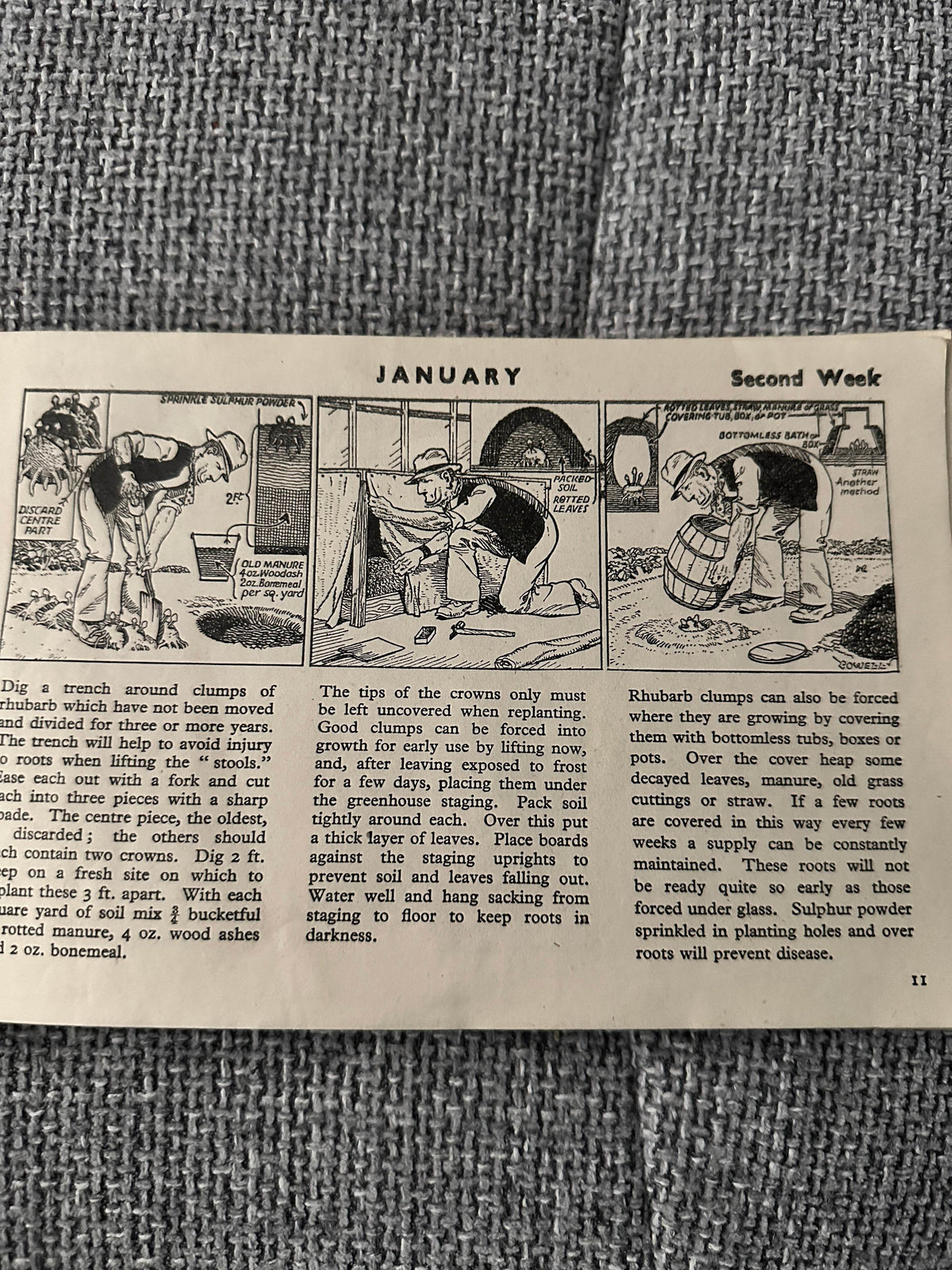 1946 Adam The Gardener - Cyril Cowell(Sunday Express) - Honeyburn Books (UK)