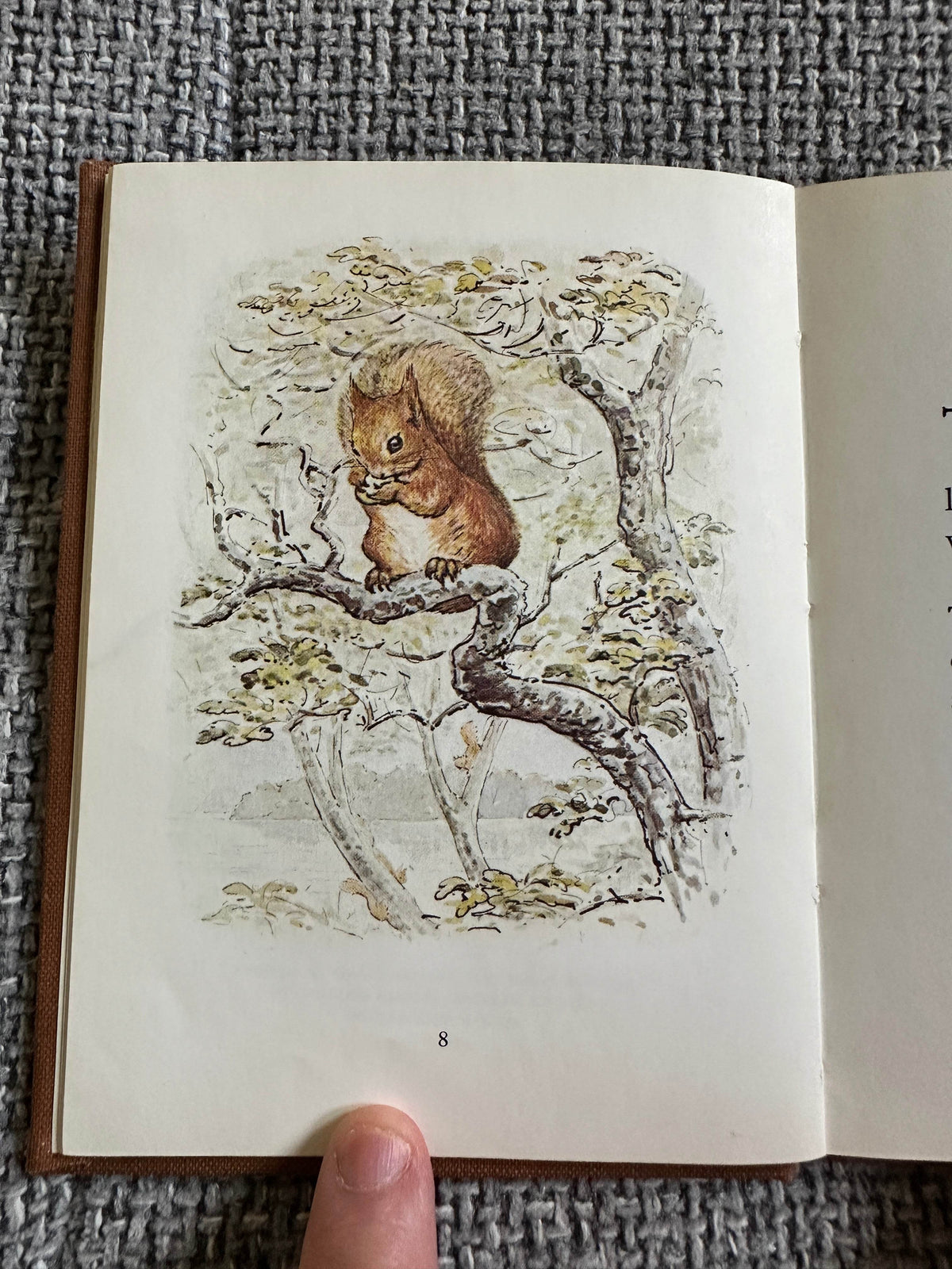 1983 The Tale Of Squirrel Nutkin - Beatrix Potter(Frederick Warne & Co Ltd. - Honeyburn Books (UK)