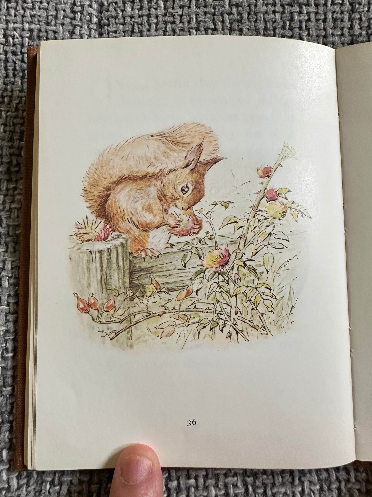 1983 The Tale Of Squirrel Nutkin - Beatrix Potter(Frederick Warne & Co Ltd. - Honeyburn Books (UK)