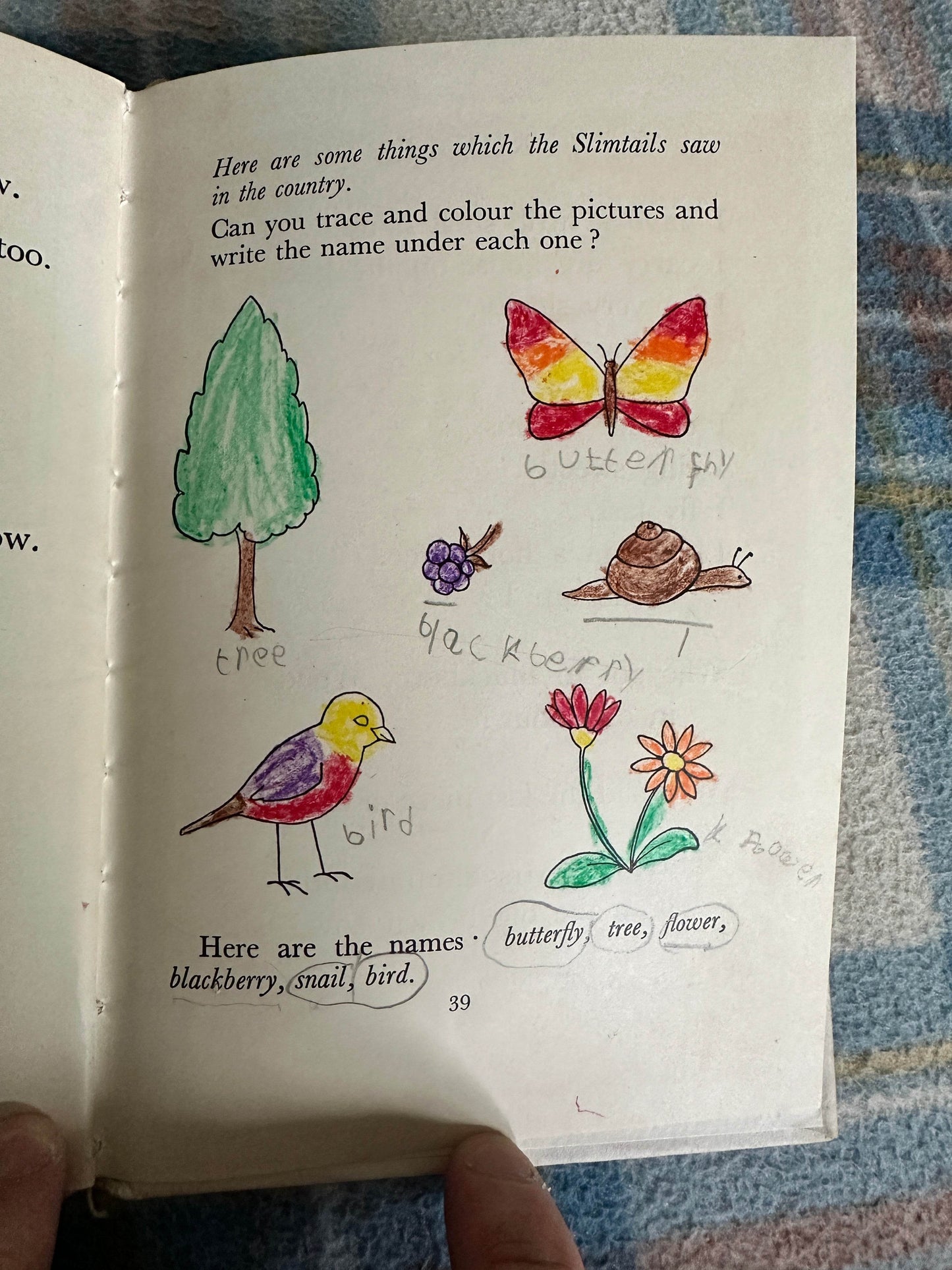 1961 Slimtail’s Picnic(Little Slimtails No4)Mary Chell & Dora Griffin (A. & C. Black Publishers) - Honeyburn Books (UK)