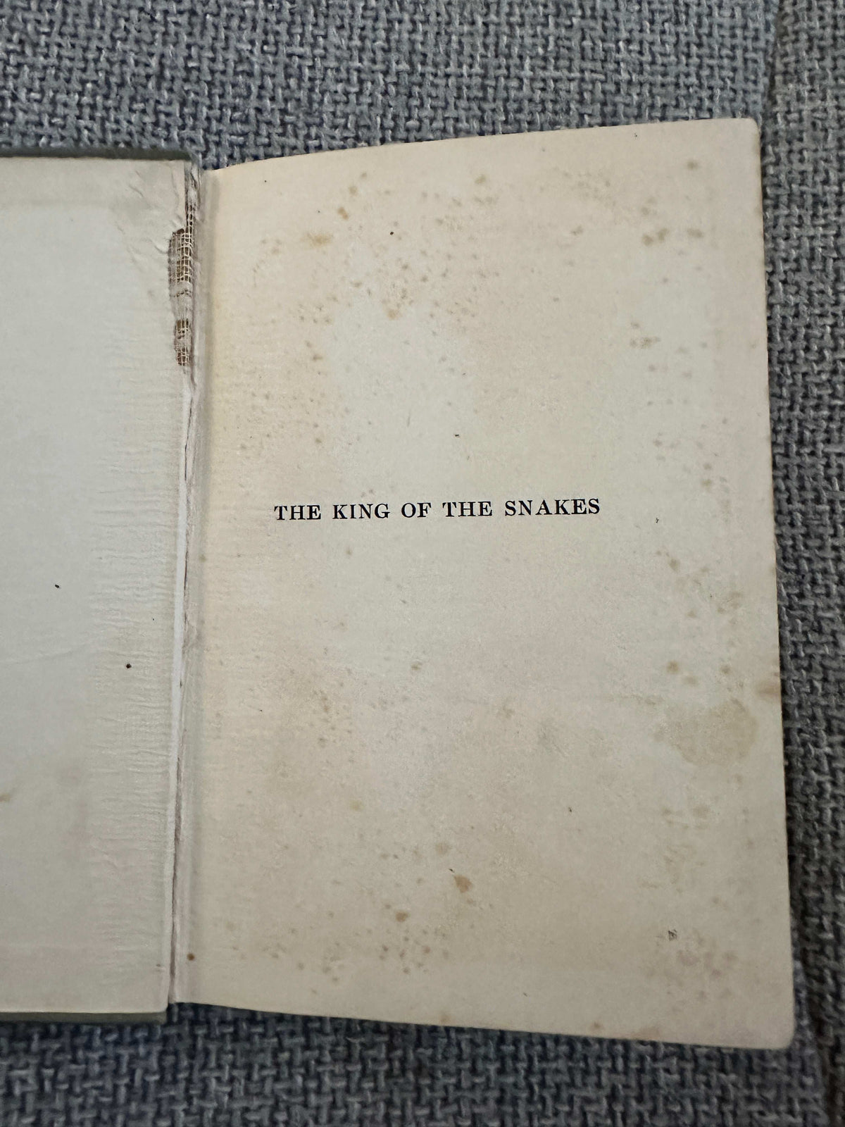 1922 The King Of The Snakes (Folk-lore stories from Uganda 🇺🇬) Rosetta Baskerville (Church Missionary Society)