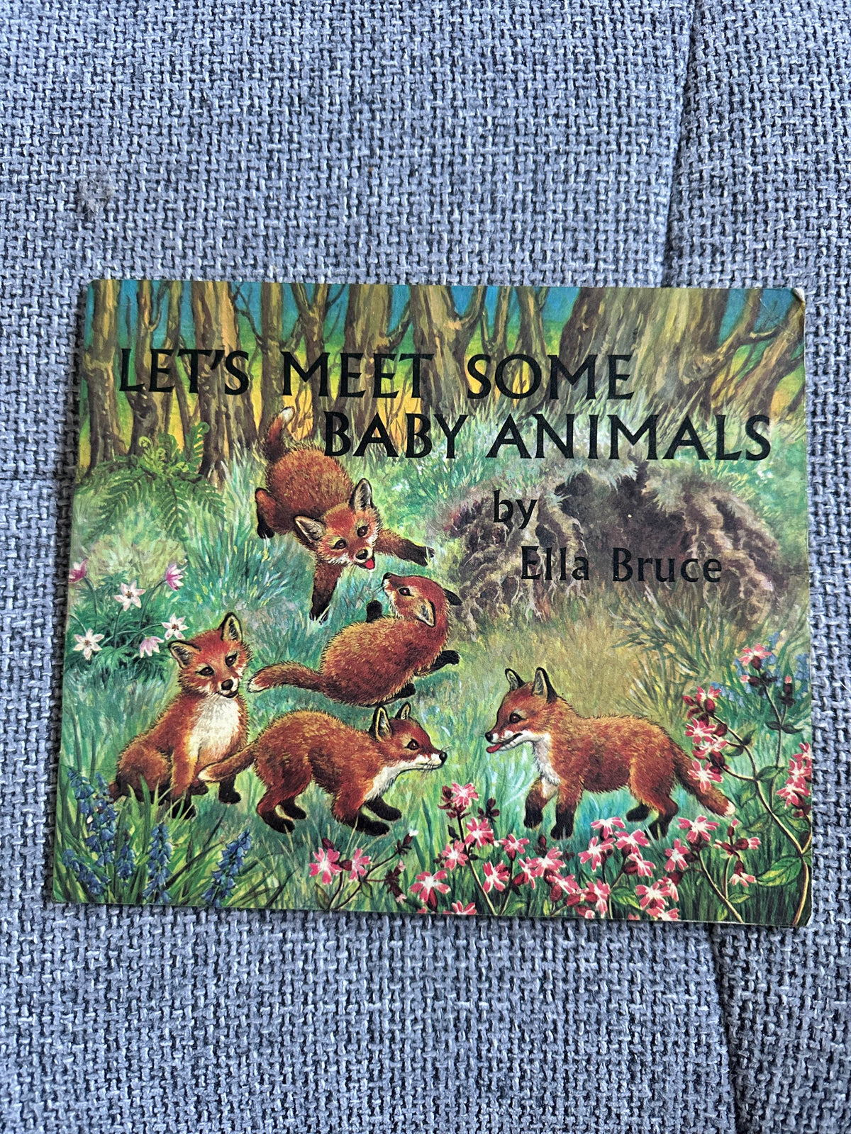 1972 Let’s Meet Some Baby Animals - Ella Bruce(The Medici Society) - Honeyburn Books (UK)
