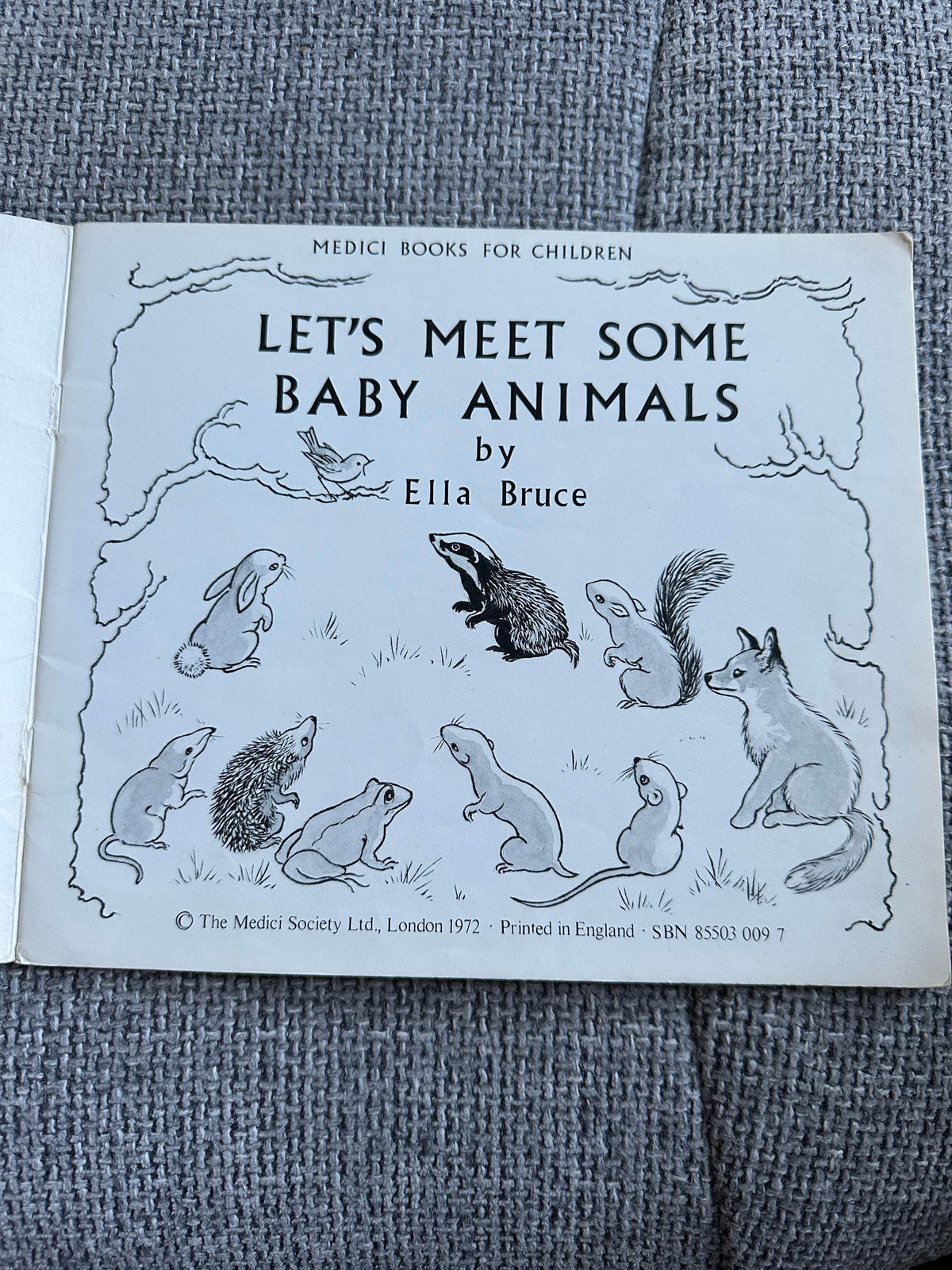 1972 Let’s Meet Some Baby Animals - Ella Bruce(The Medici Society) - Honeyburn Books (UK)