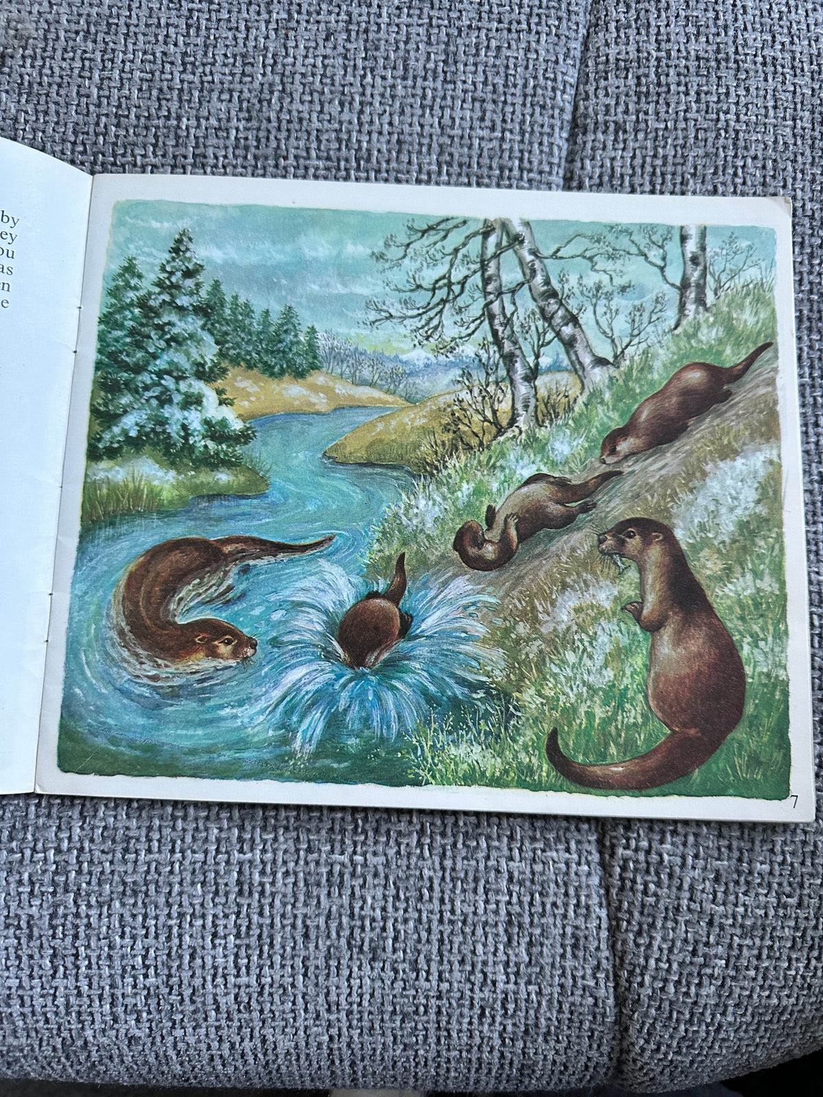 1972 Let’s Meet Some Baby Animals - Ella Bruce(The Medici Society) - Honeyburn Books (UK)