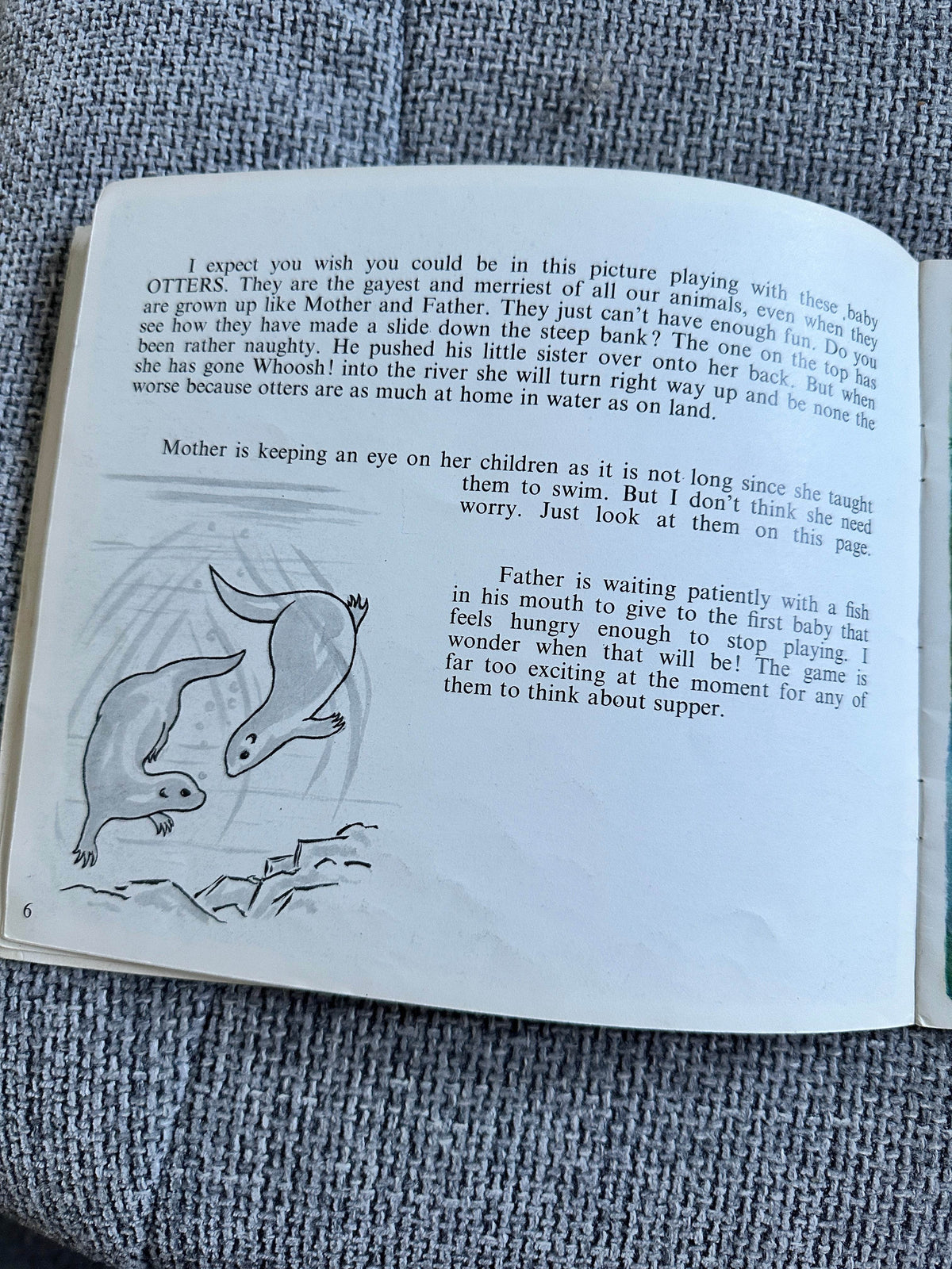 1972 Let’s Meet Some Baby Animals - Ella Bruce(The Medici Society) - Honeyburn Books (UK)