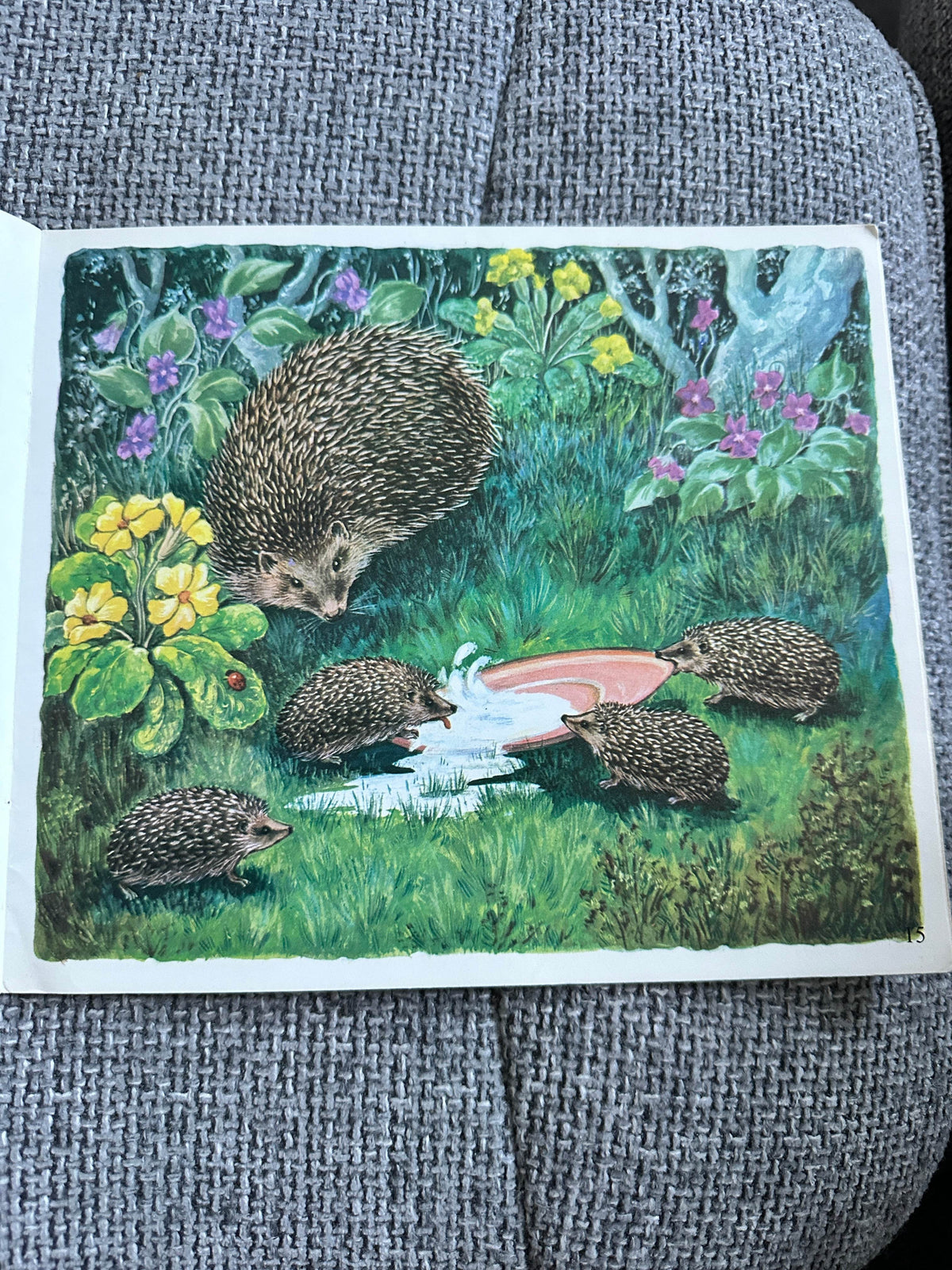 1972 Let’s Meet Some Baby Animals - Ella Bruce(The Medici Society) - Honeyburn Books (UK)