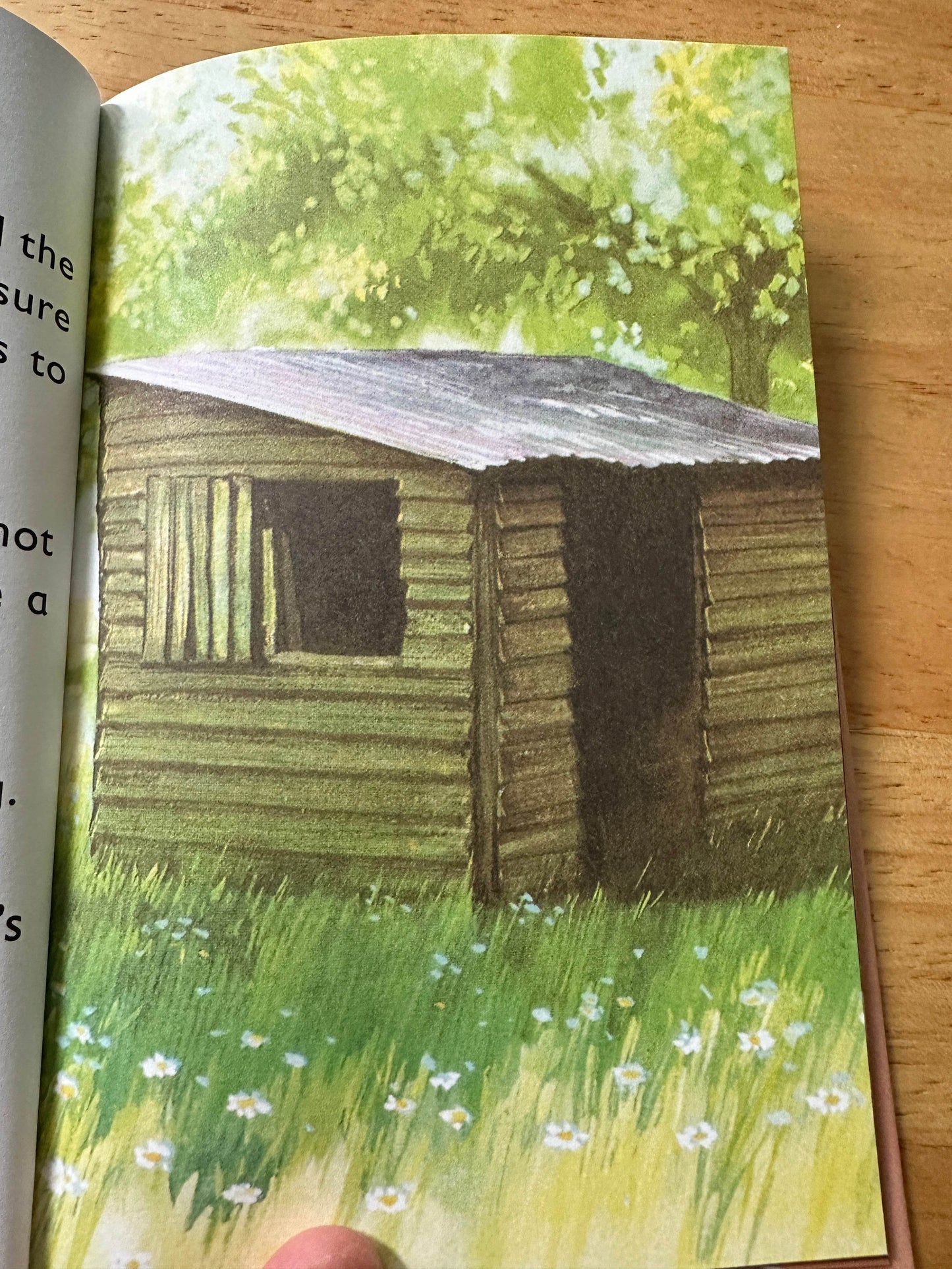 2018 The Story Of Brexit(Series 999 Ladybird) J.A. Hazeley & J.P. Morris(Ladybird Books) - Honeyburn Books (UK)