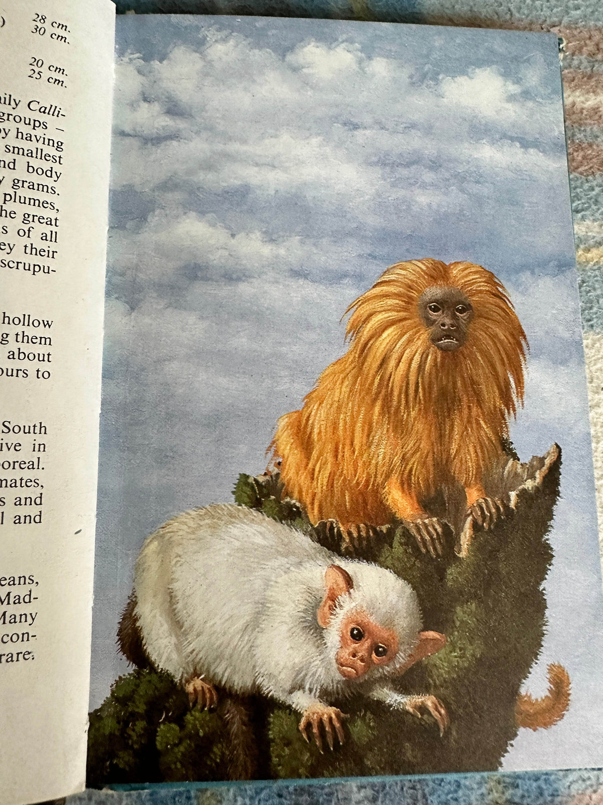 1972 South American Mammals(Series 691 Ladybird) John Leigh-Pemberton (Wills & Hepworth) - Honeyburn Books (UK)