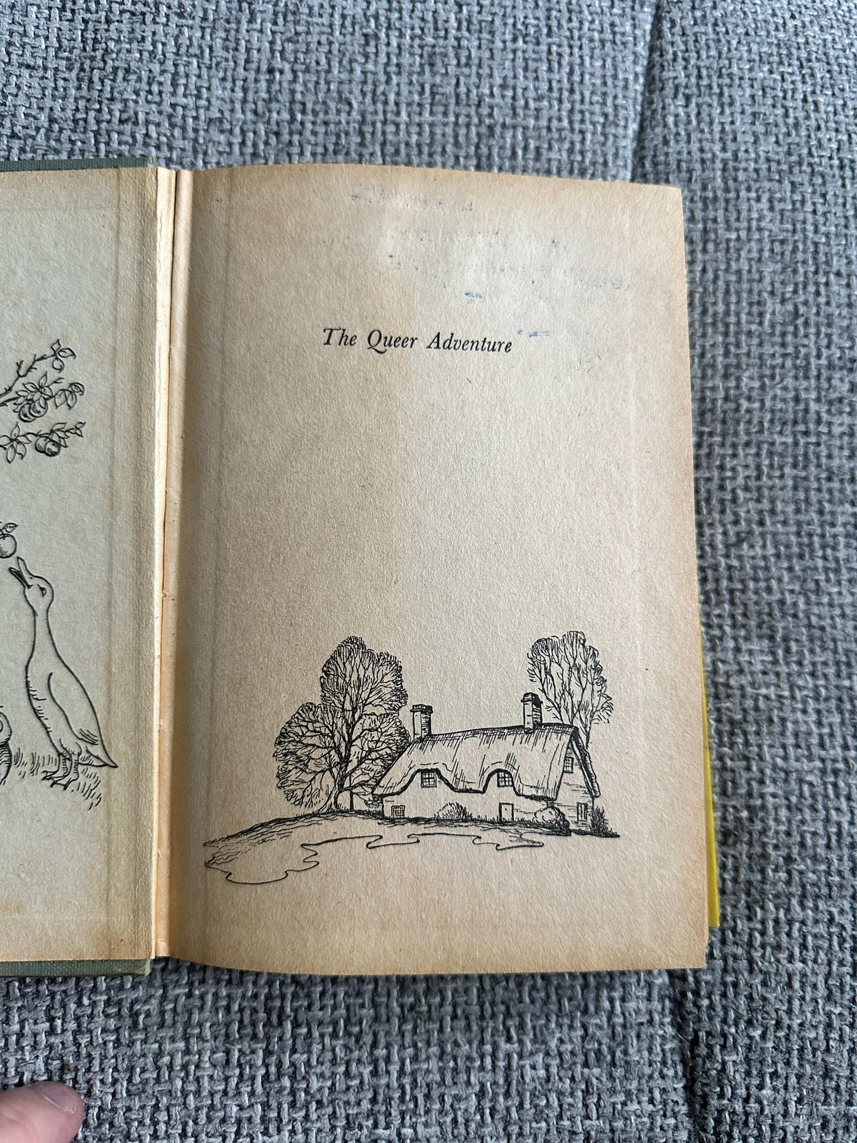 1952*1st* The Queer Adventure - Enid Blyton (Norman Meredith Illust) Staples Press
