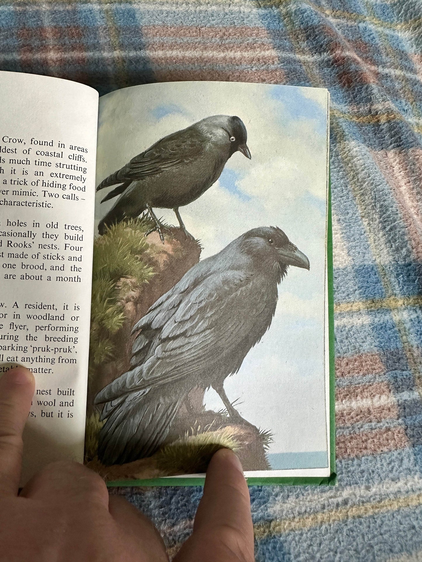 1968 Heath & Woodland Birds(Series 536) John Leigh-Pemberton(Ladybird Books) - Honeyburn Books (UK)
