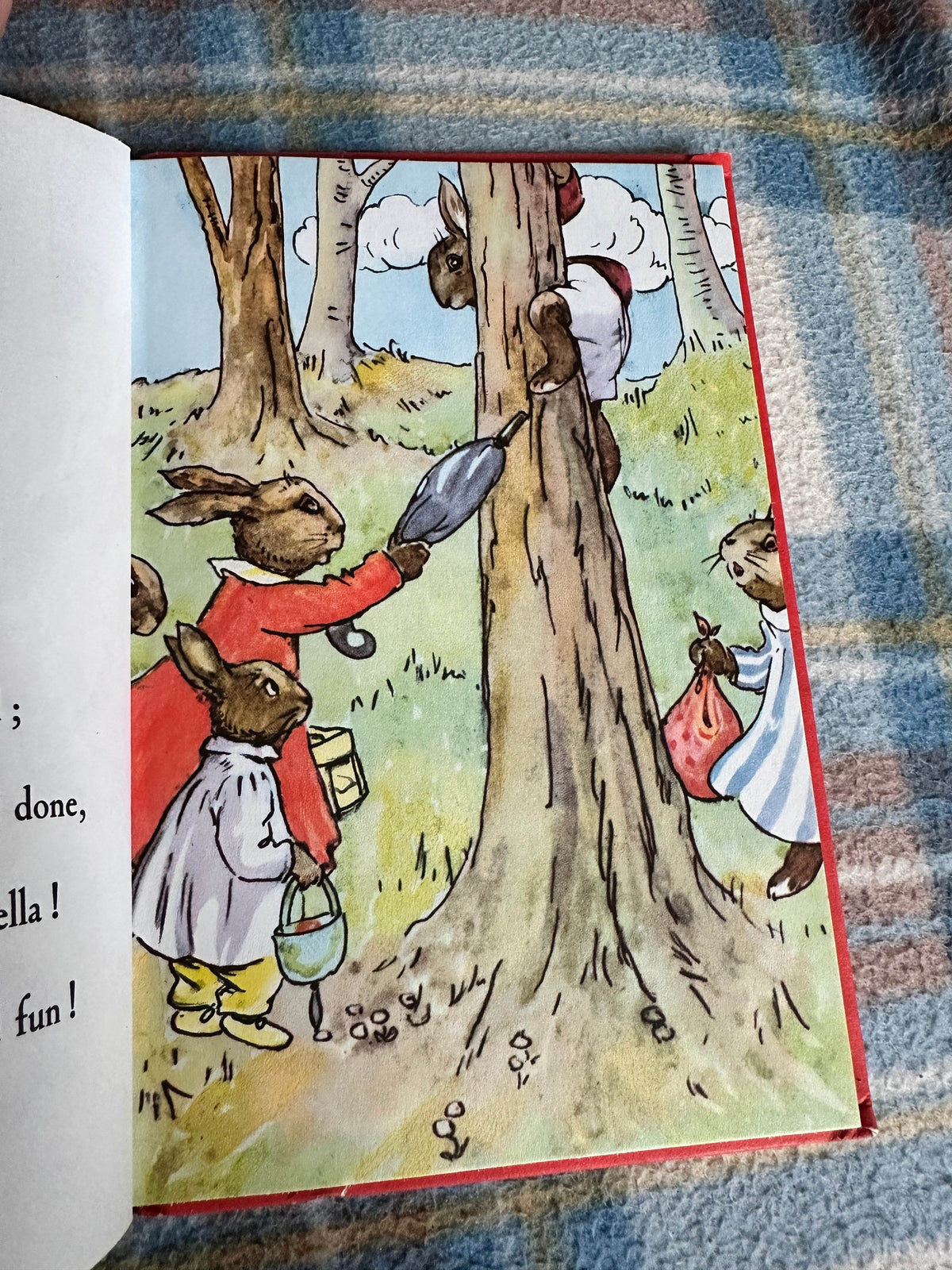 1979’s Bunnykin’s Picnic Party(Series 401) A.J. MacGregor & W. Perring(Ladybird Books Ltd) - Honeyburn Books (UK)