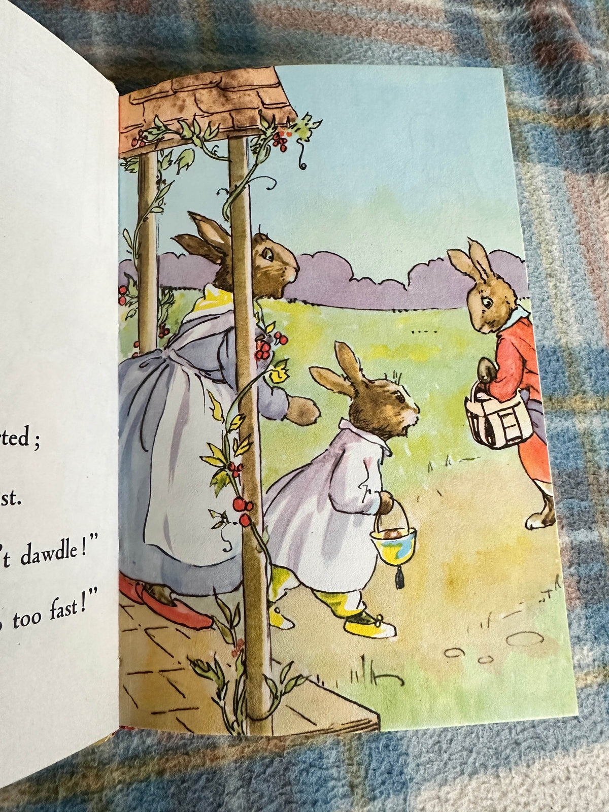 1979’s Bunnykin’s Picnic Party(Series 401) A.J. MacGregor & W. Perring(Ladybird Books Ltd) - Honeyburn Books (UK)