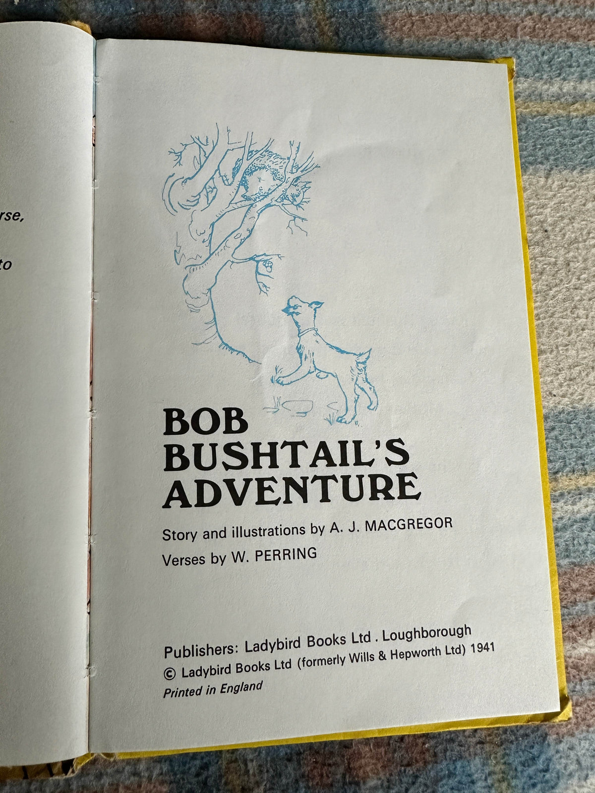 1970’s Bob Bushtail’s Adventure(Series 401)A. J. MacGregor & W. Perring(Ladybird Books Ltd) - Honeyburn Books (UK)