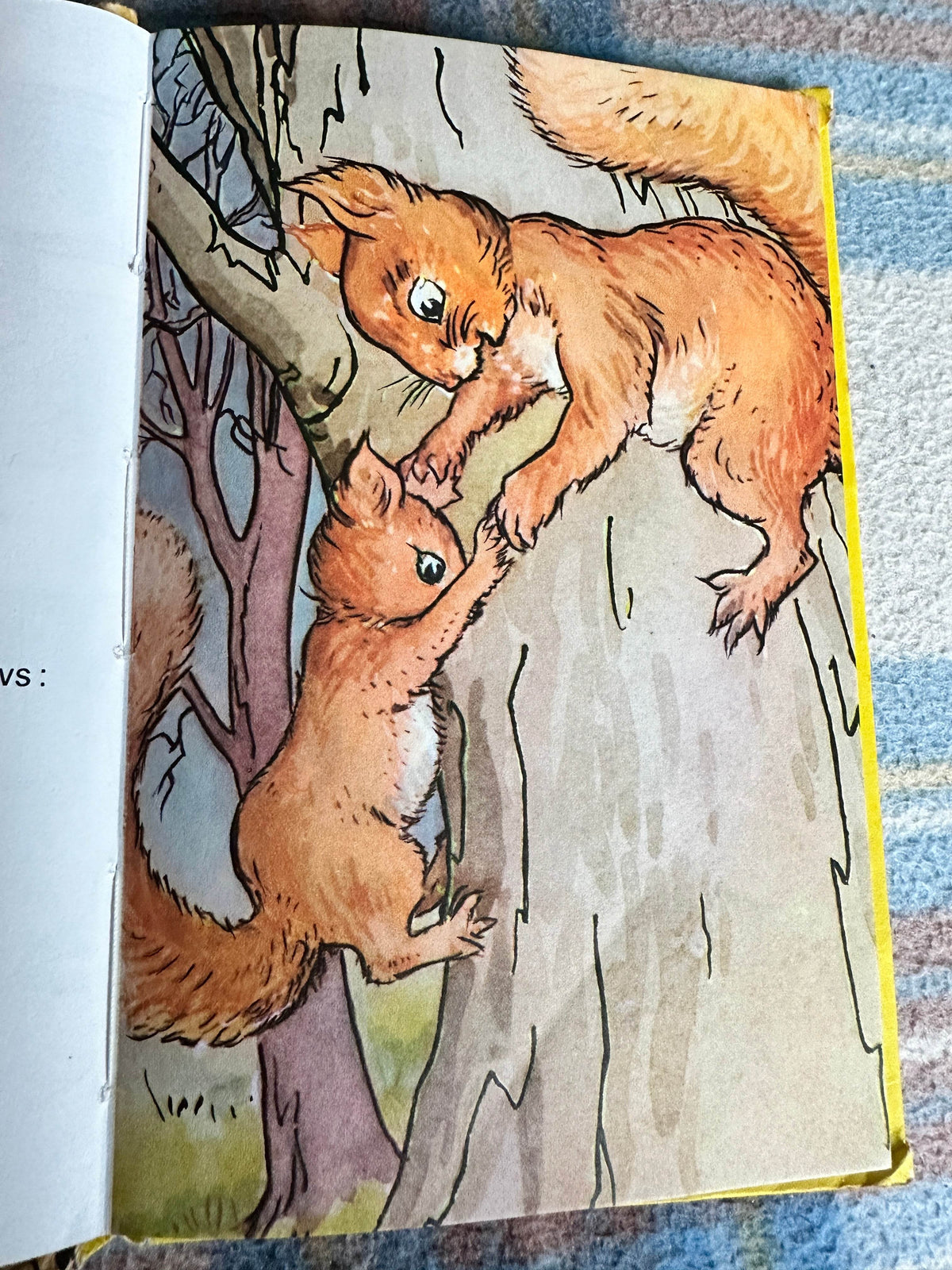 1970’s Bob Bushtail’s Adventure(Series 401)A. J. MacGregor & W. Perring(Ladybird Books Ltd) - Honeyburn Books (UK)