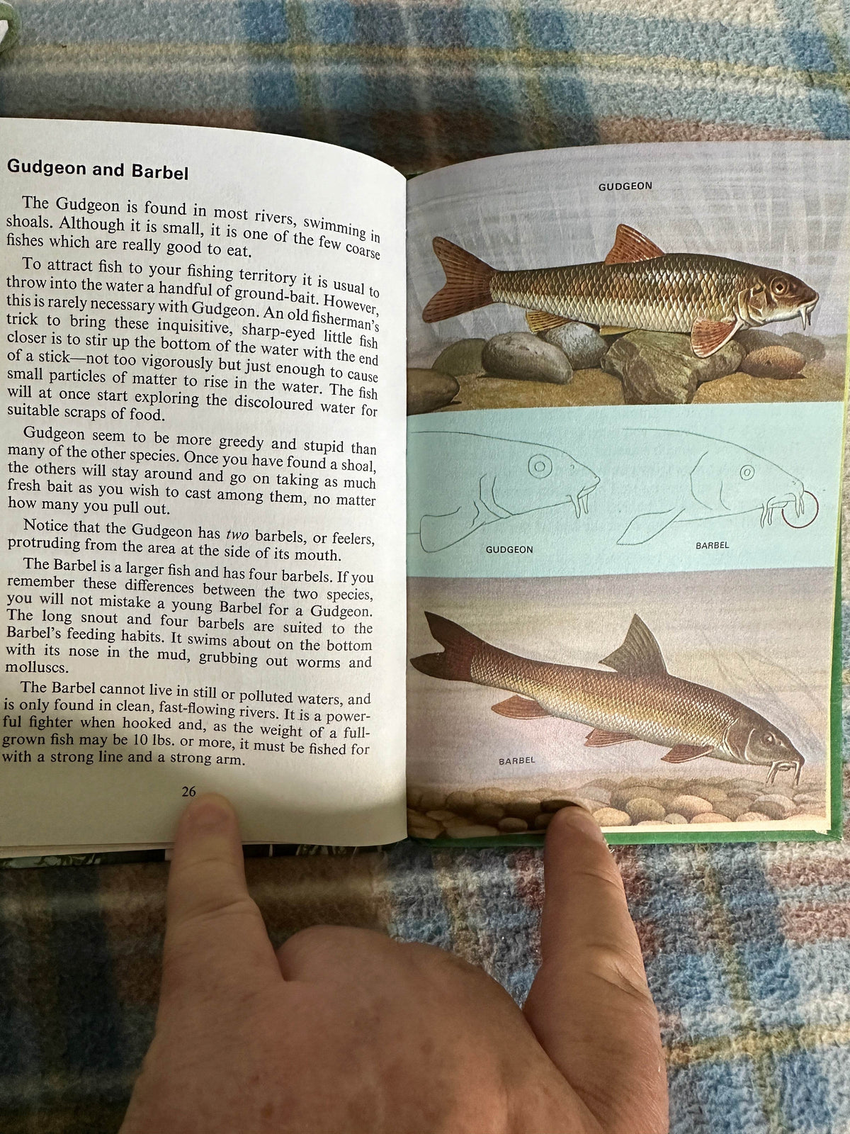 1970’s Coarse Fishing(Series 633) N. Scott(Illust B. H. Robinson)Wills & Hepworth - Honeyburn Books (UK)
