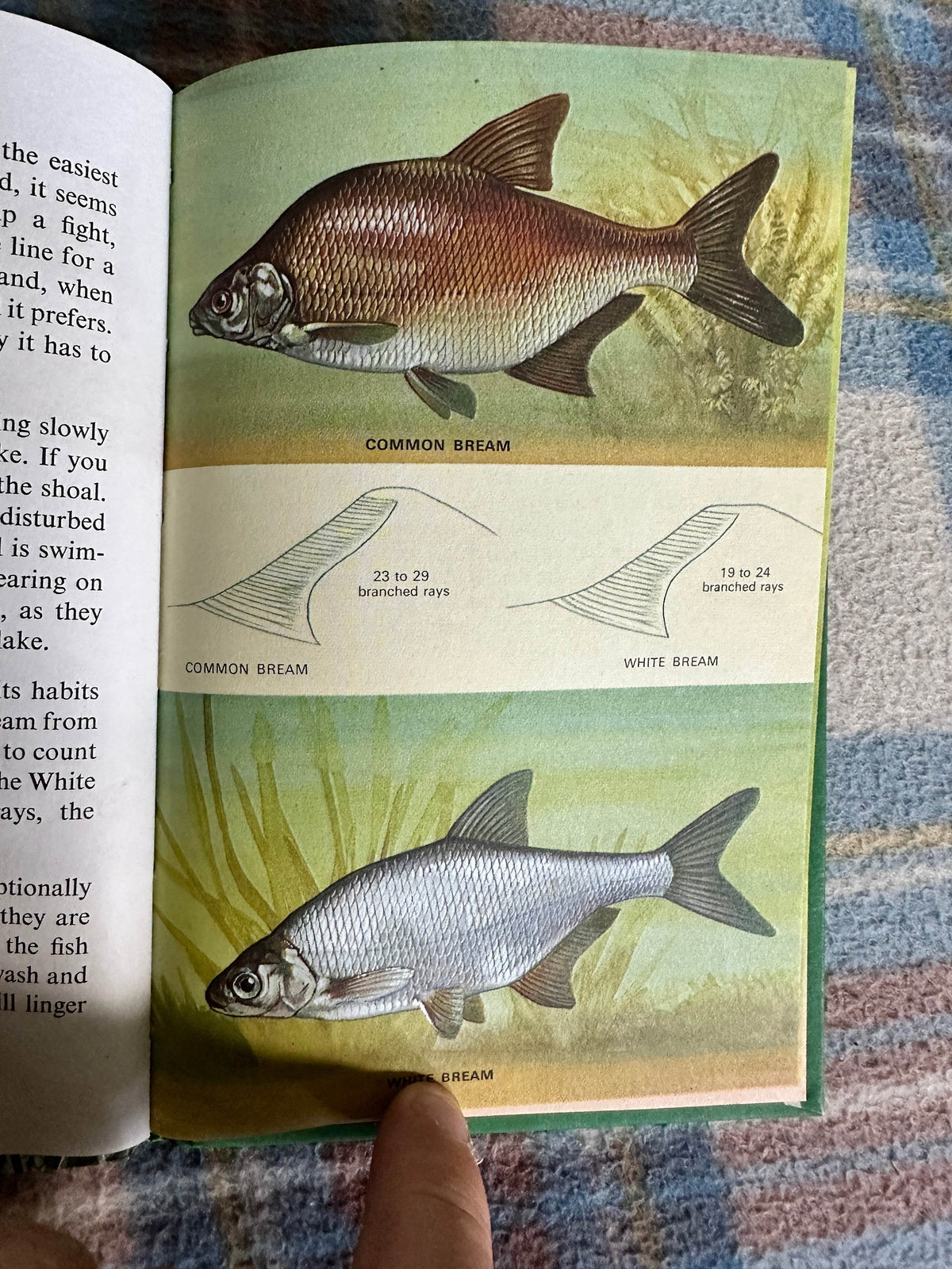 1970’s Coarse Fishing(Series 633) N. Scott(Illust B. H. Robinson)Wills & Hepworth - Honeyburn Books (UK)