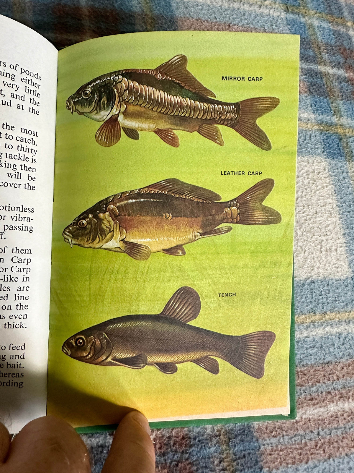 1970’s Coarse Fishing(Series 633) N. Scott(Illust B. H. Robinson)Wills & Hepworth - Honeyburn Books (UK)