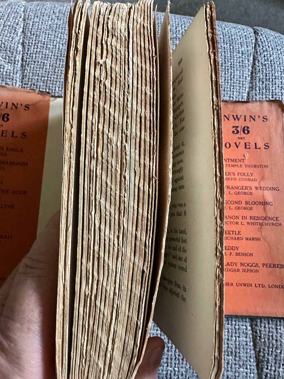 1920 Boon, The Mind Of The Race, The Wild Asses Of The Devil & The Last Trump - H. G. Wells(T. Fisher Unwin Ltd) - Honeyburn Books (UK)