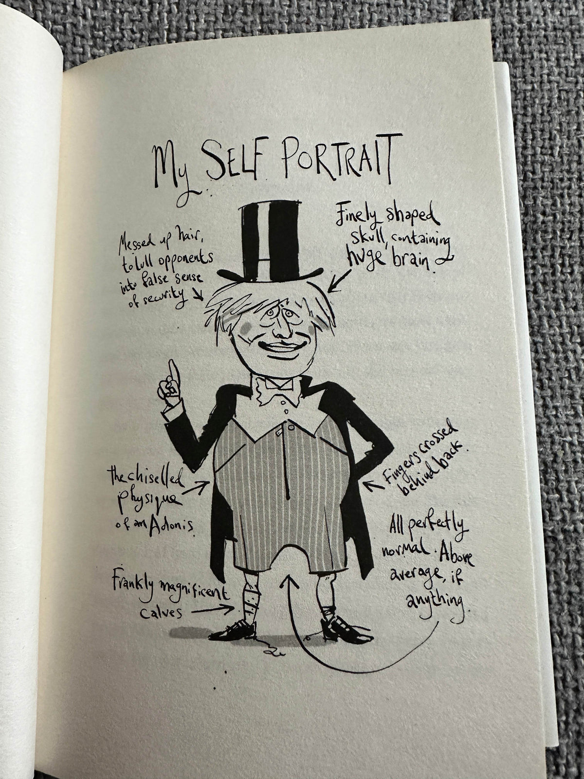 2019 The Unofficial Secret Diary Of Boris Johnson- Lucien Young(Quercus) - Honeyburn Books (UK)