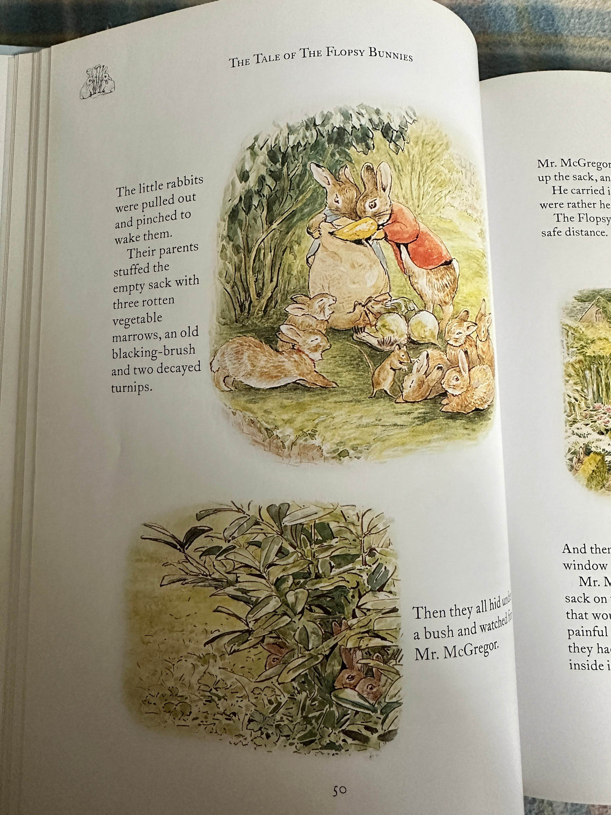 2003 The Complete Adventures Of Peter Rabbit - Beatrix Potter(Frederick Warne & Co Ltd) - Honeyburn Books (UK)