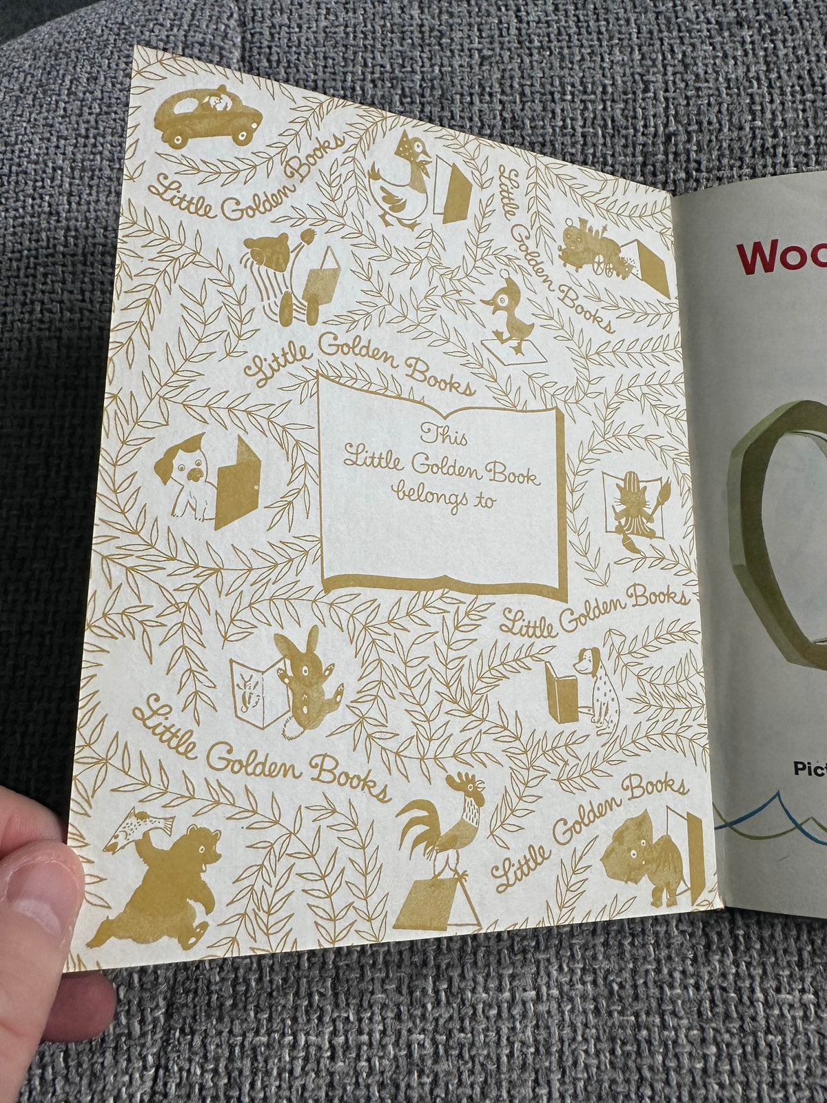 1973 Woody Woodpecker Takes A Trip - Walter Lantz(Little Golden Book) - Honeyburn Books (UK)
