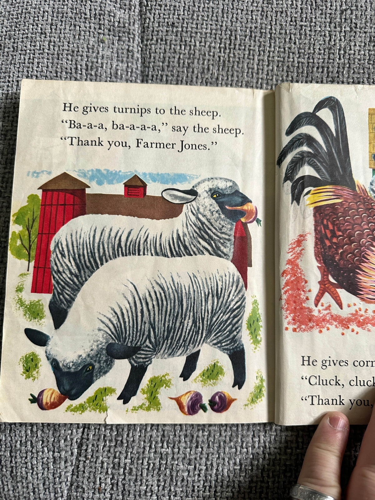 1973 The Animals Of Farmer Jones(Little Golden Book) World Distributors - Honeyburn Books (UK)