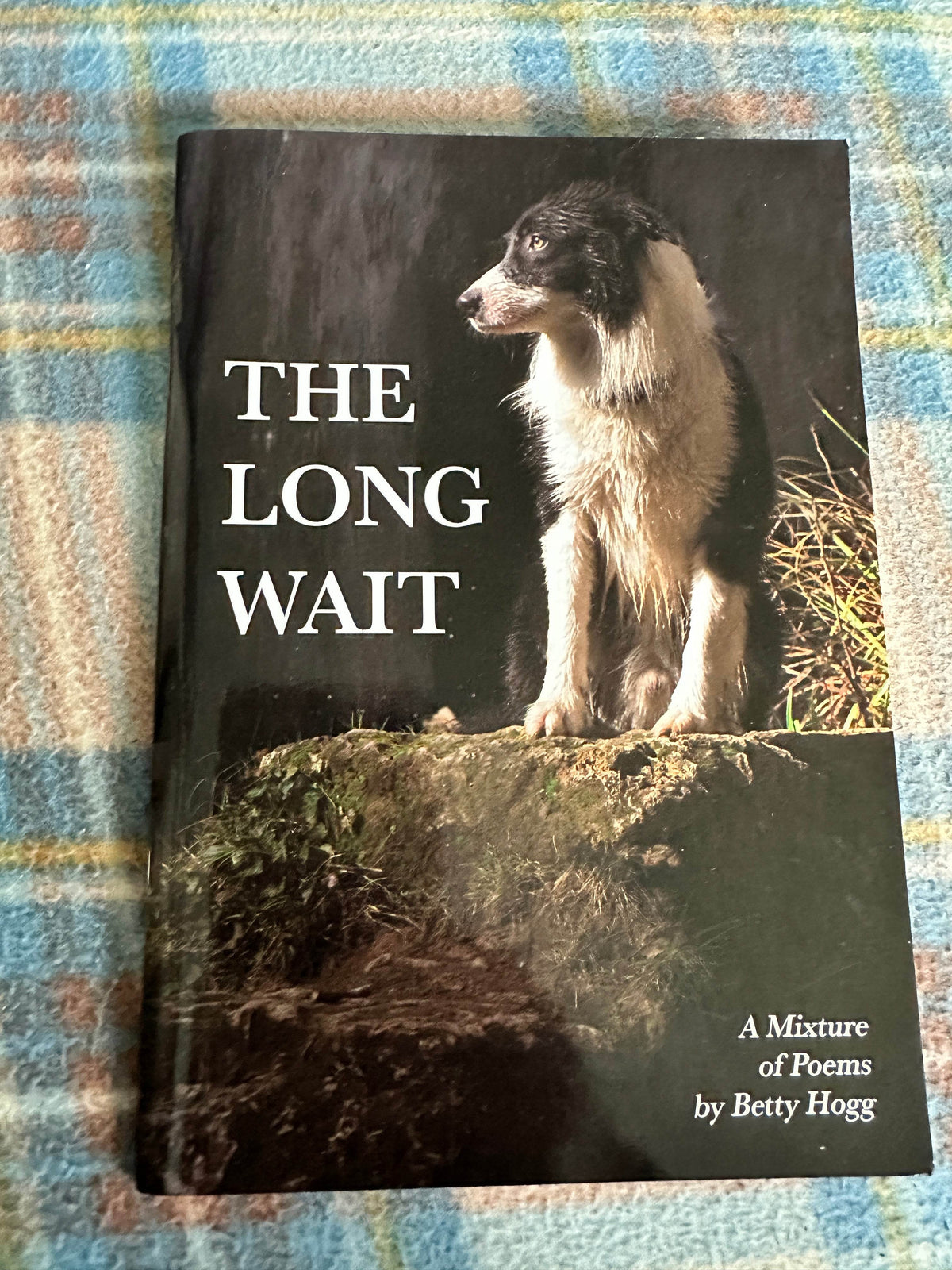 2020*Signed* The Long Wait(Poems) Betty Hogg(Richardson Printer) - Honeyburn Books (UK)