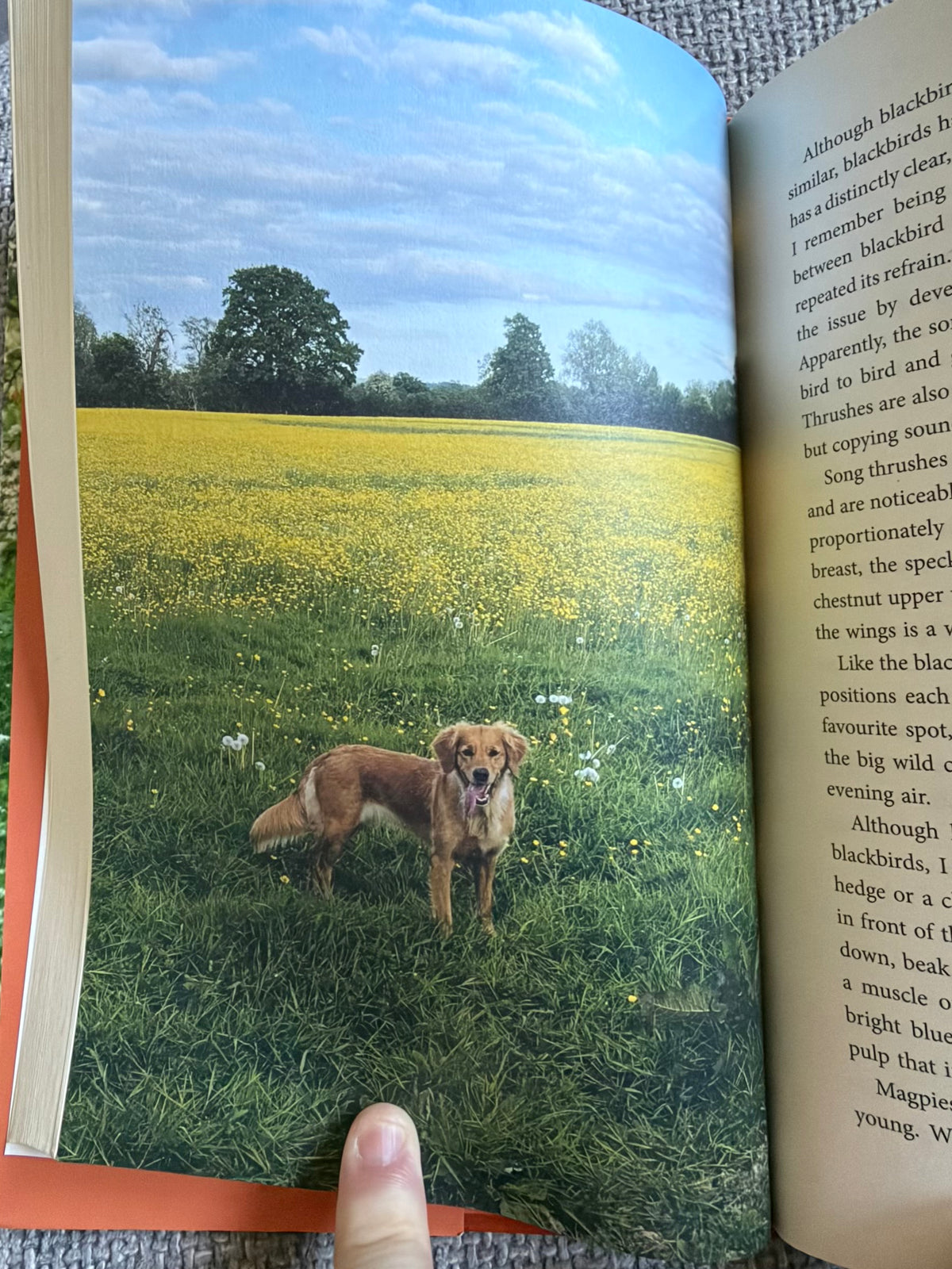 2020 My Garden World (The Natural Year) Monty Don (Two Roads Publishers)