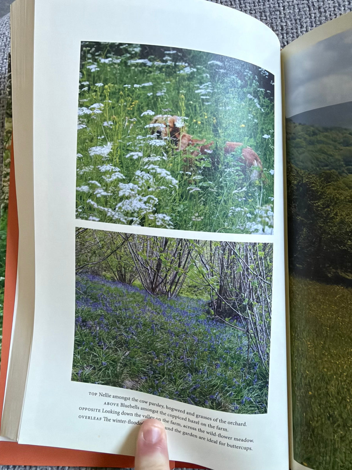 2020 My Garden World (The Natural Year) Monty Don (Two Roads Publishers)