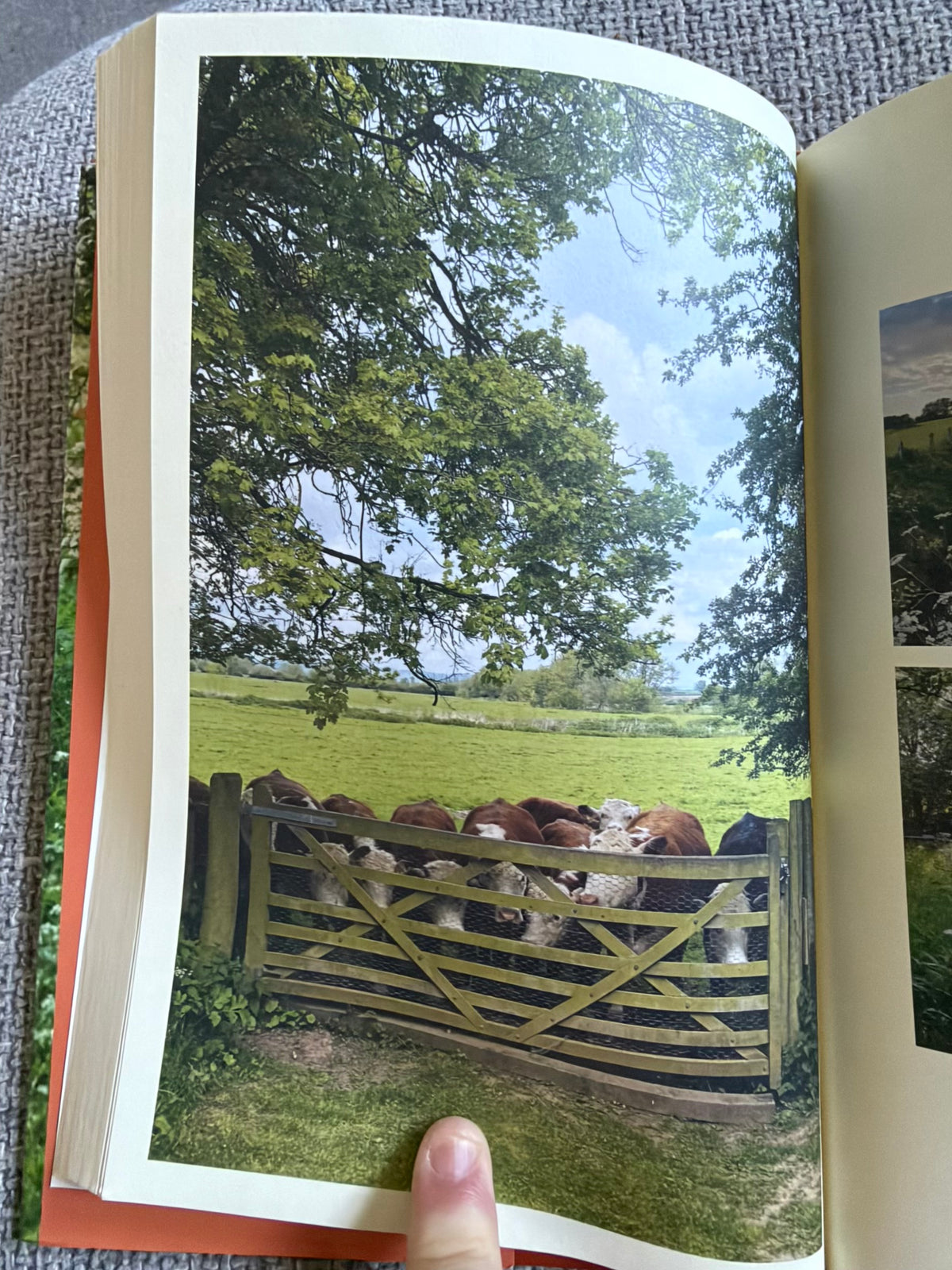 2020 My Garden World (The Natural Year) Monty Don (Two Roads Publishers)