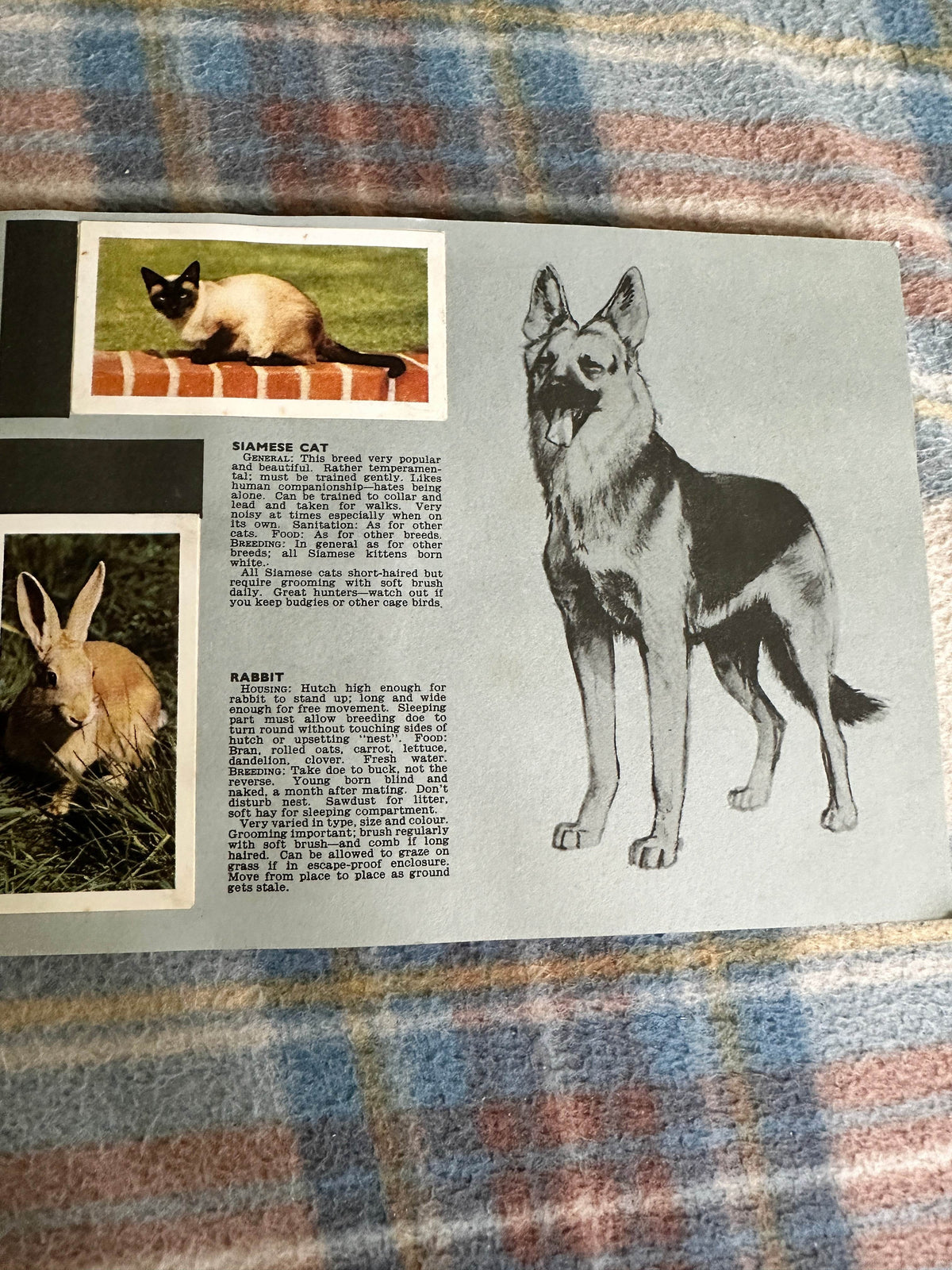 1940’s Pets Album(Tea Cards)Maxwell Knight(W. H. & F. J. Horniman & Co Ltd)one missing - Honeyburn Books (UK)