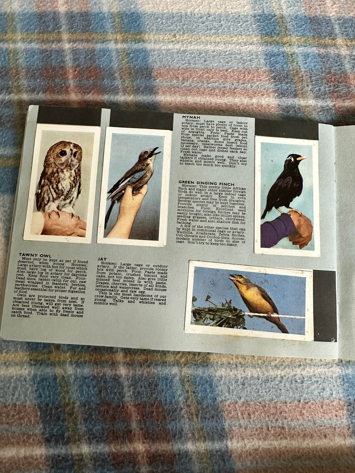 1940’s Pets Album(Tea Cards)Maxwell Knight(W. H. & F. J. Horniman & Co Ltd)one missing - Honeyburn Books (UK)