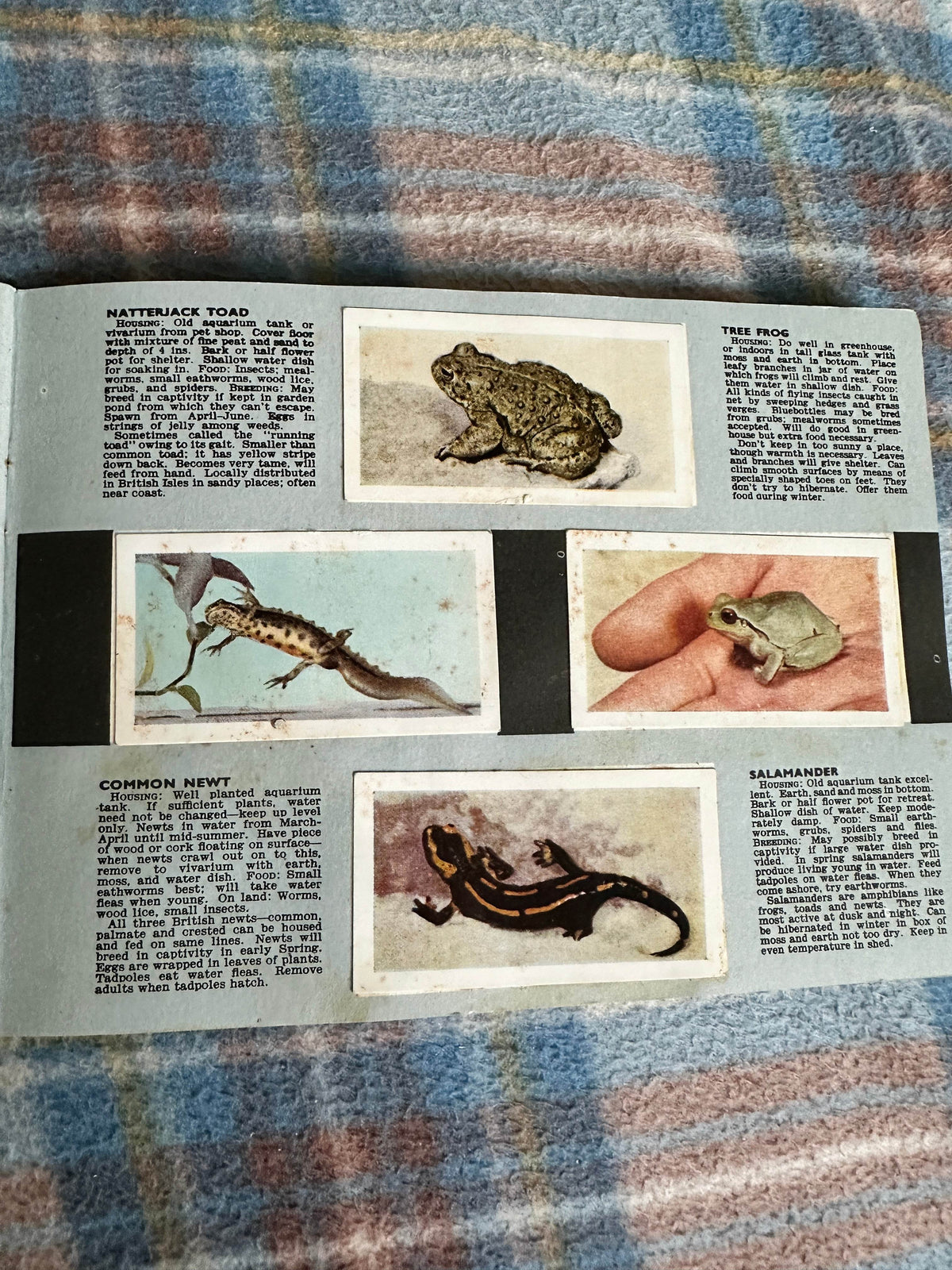 1940’s Pets Album(Tea Cards)Maxwell Knight(W. H. & F. J. Horniman & Co Ltd)one missing - Honeyburn Books (UK)
