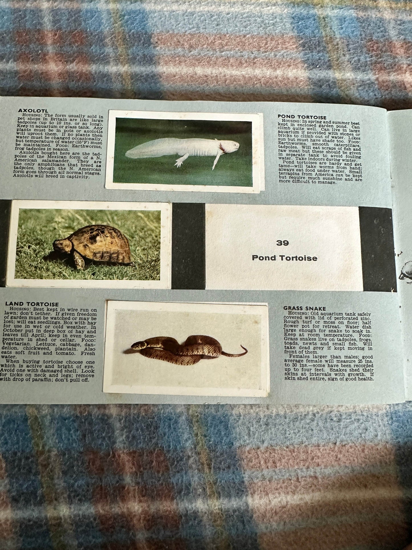 1940’s Pets Album(Tea Cards)Maxwell Knight(W. H. & F. J. Horniman & Co Ltd)one missing - Honeyburn Books (UK)